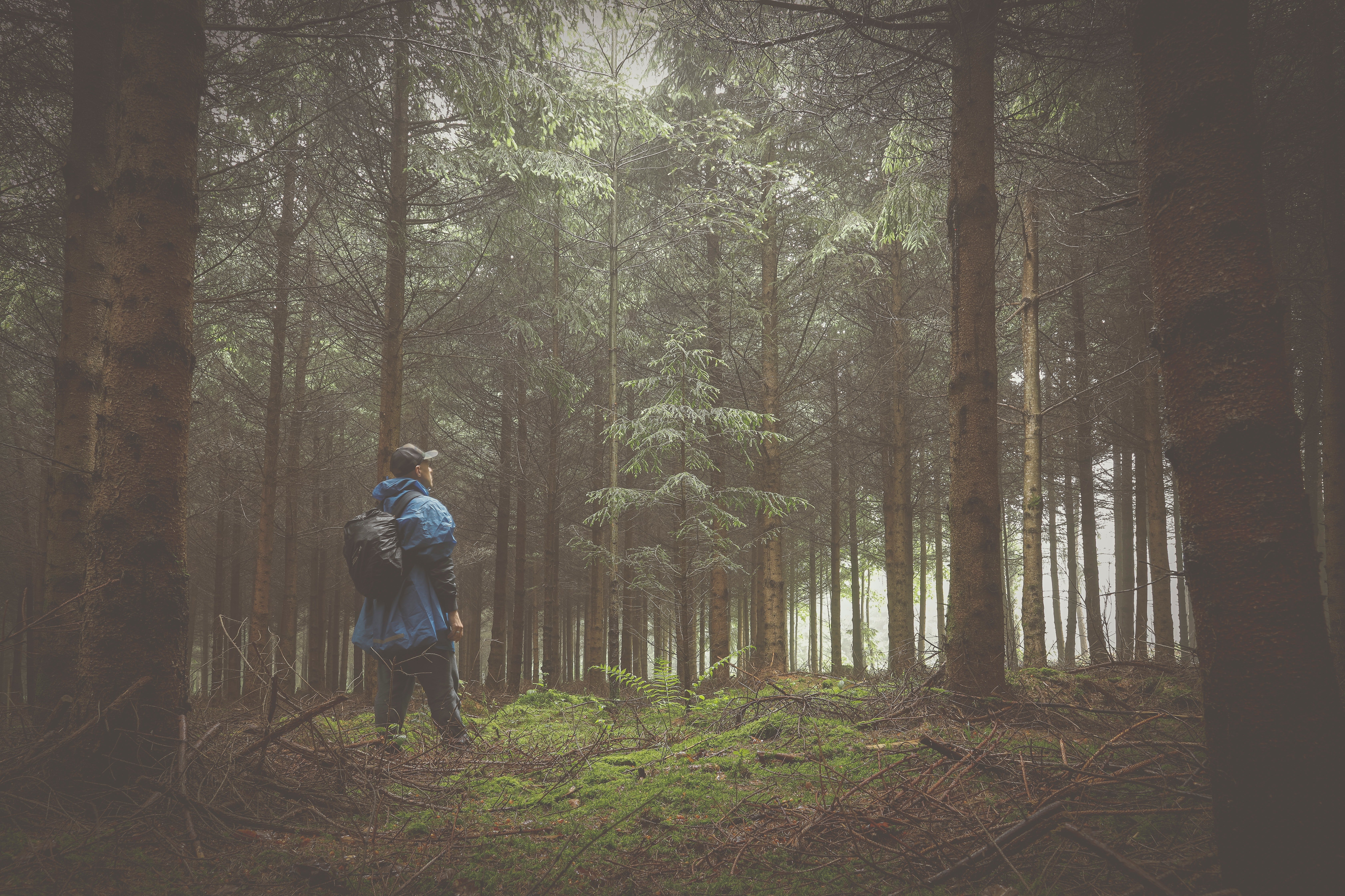 Una persona caminando por un bosque. | Foto: Pexels