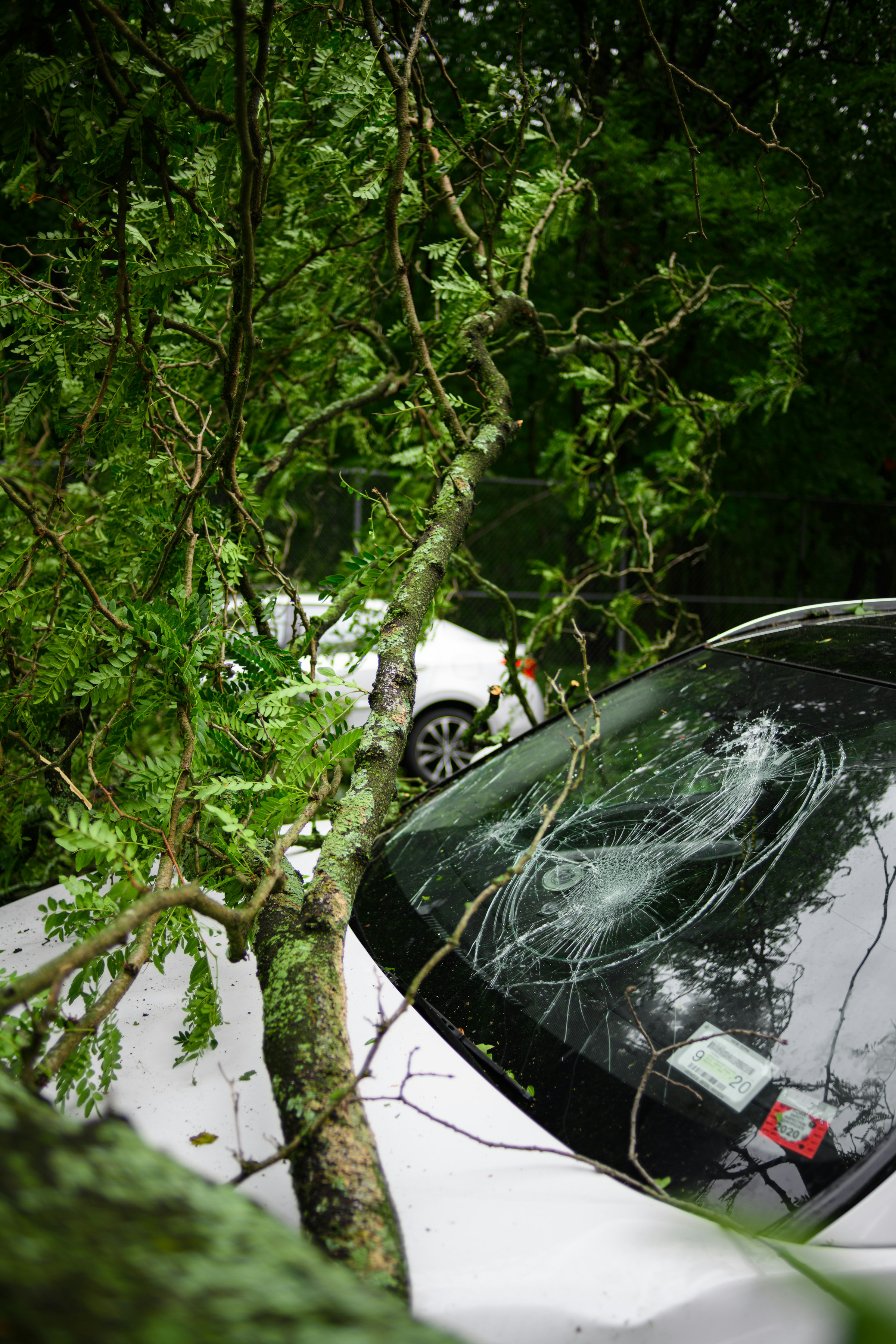 Un accidente de automóvil | Foto: Unsplash