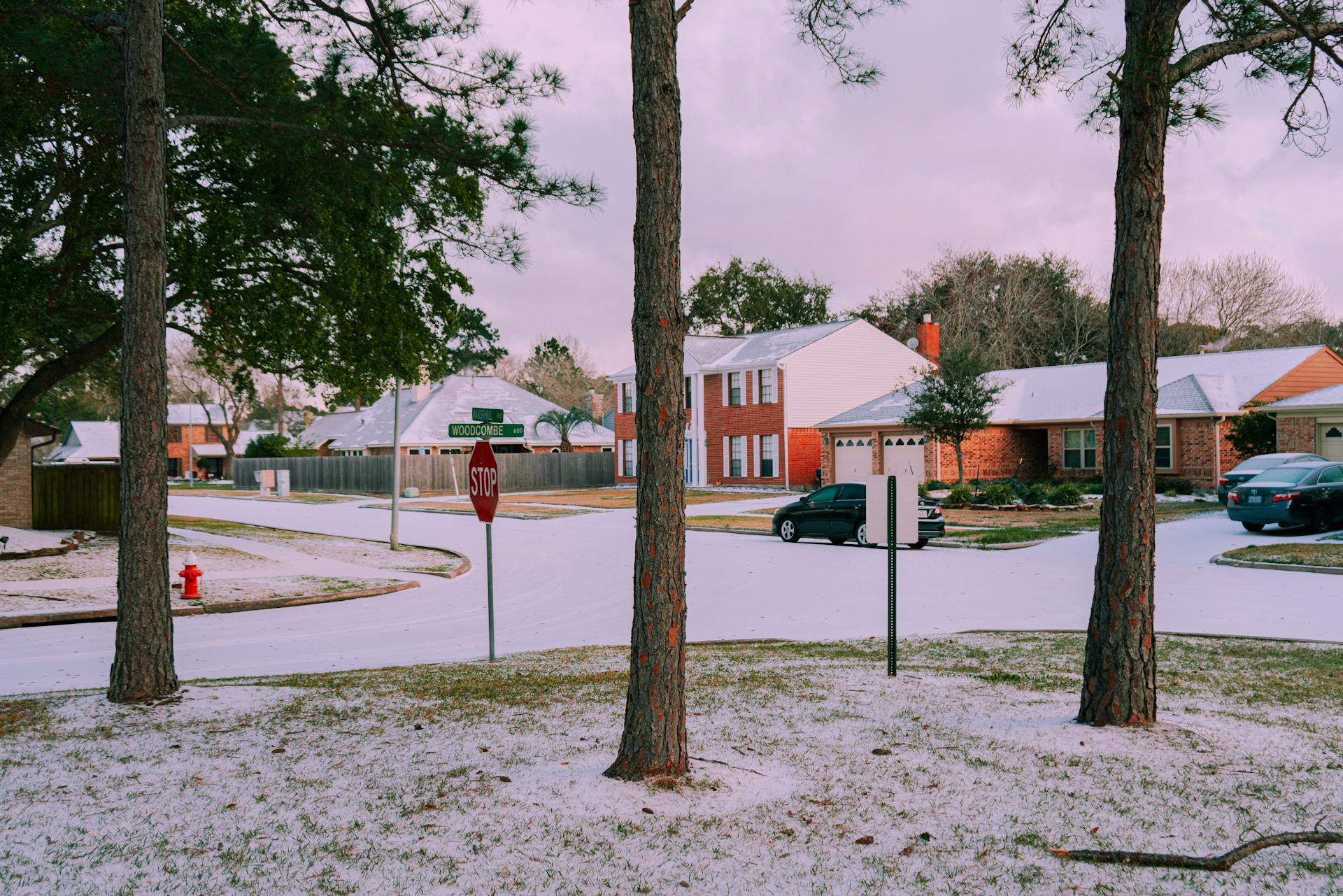 Nieve en un área suburbana | Fuente: Pexels