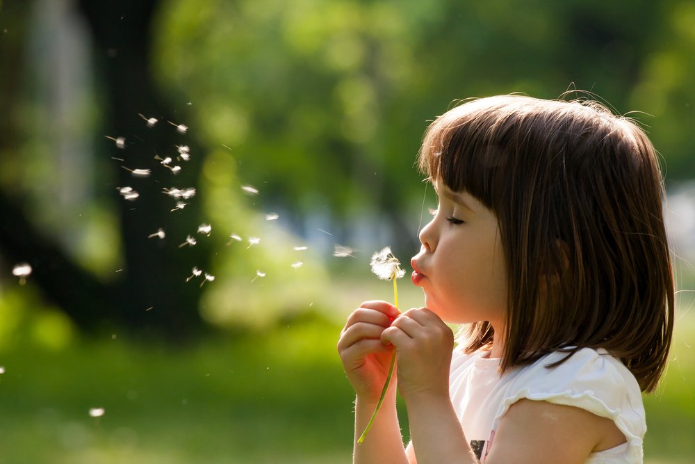 Niña jugando con semillas de diente de león. | Foto: Shutterstock