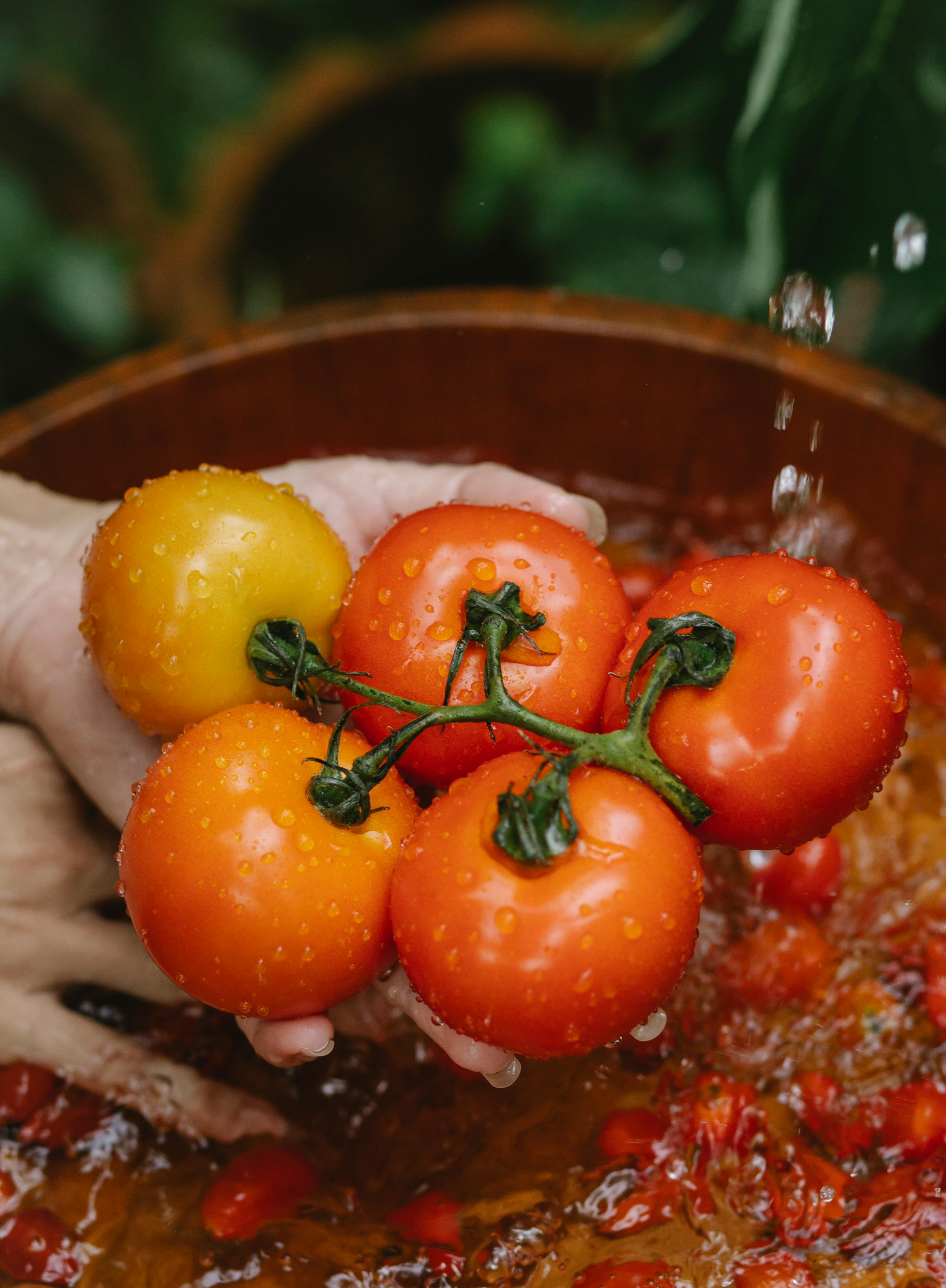 Un lote de tomates de huerta lavados | Fuente: Pexels