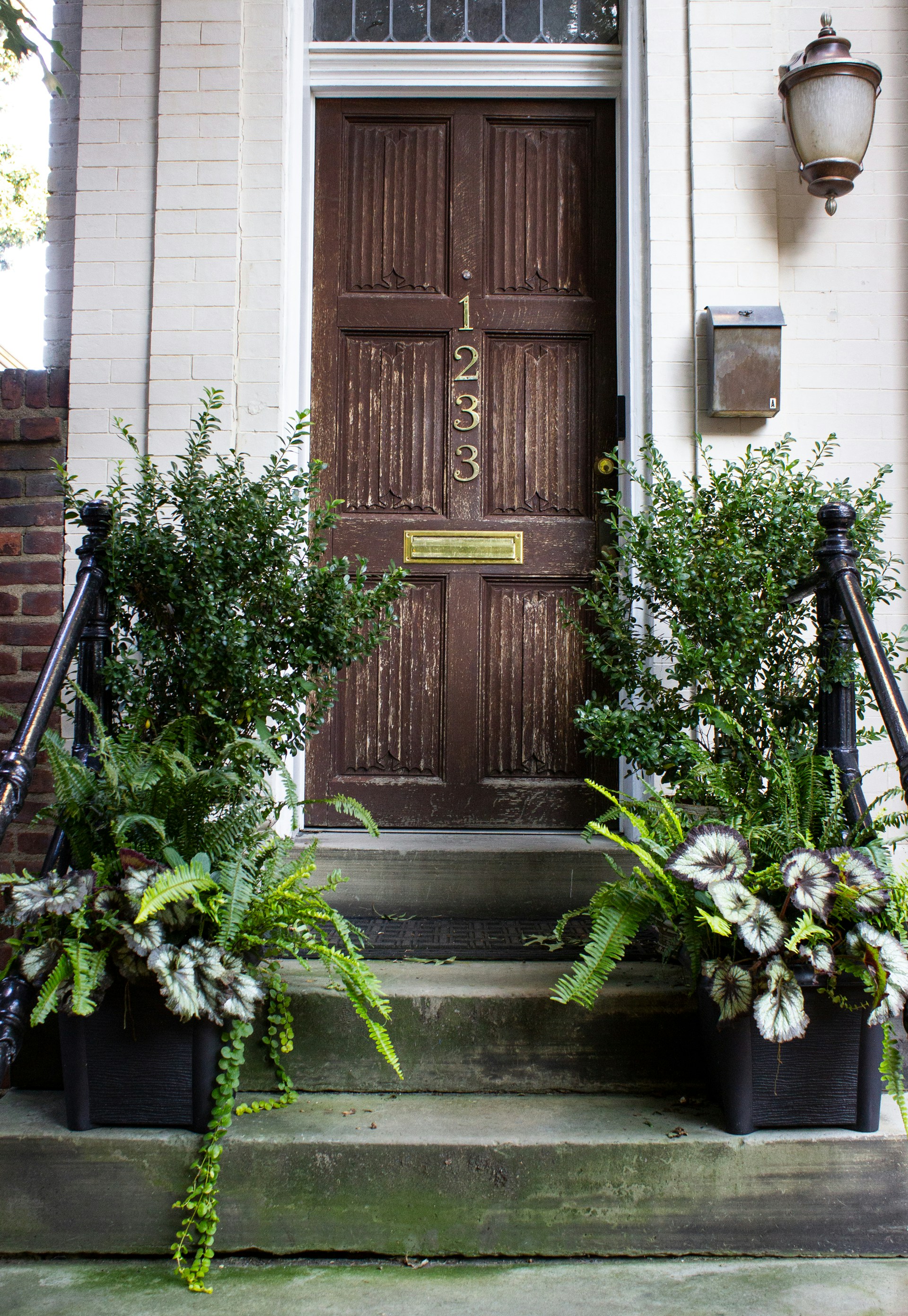 Una puerta de madera marrón con plantas verdes | Fuente: Unsplash