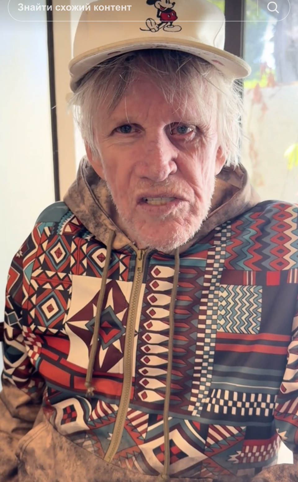 Gary Busey interactuando con fans en TikTok | Fuente: TikTok/@buseyisms