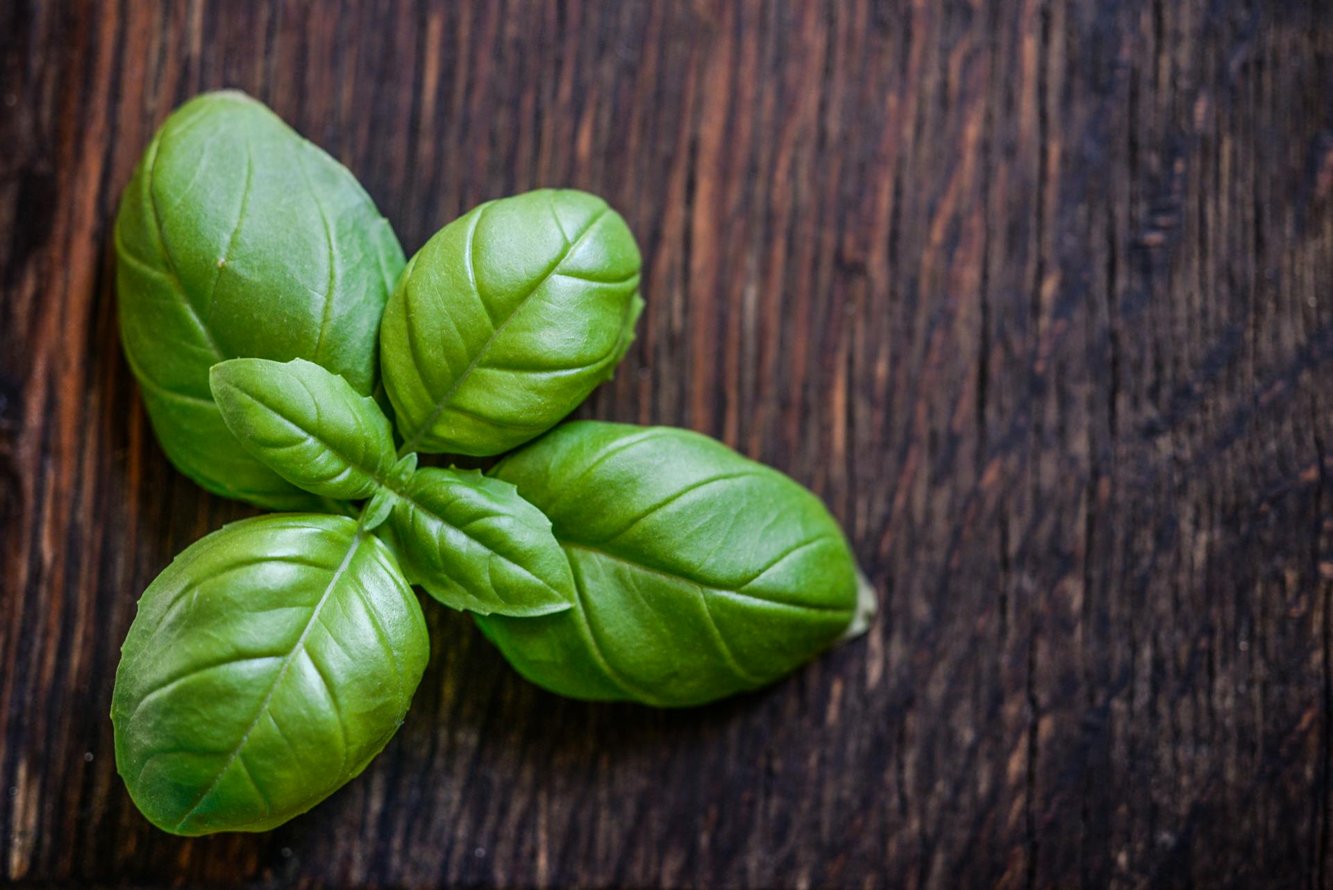 Una ramita de albahaca sobre una encimera | Fuente: Pexels