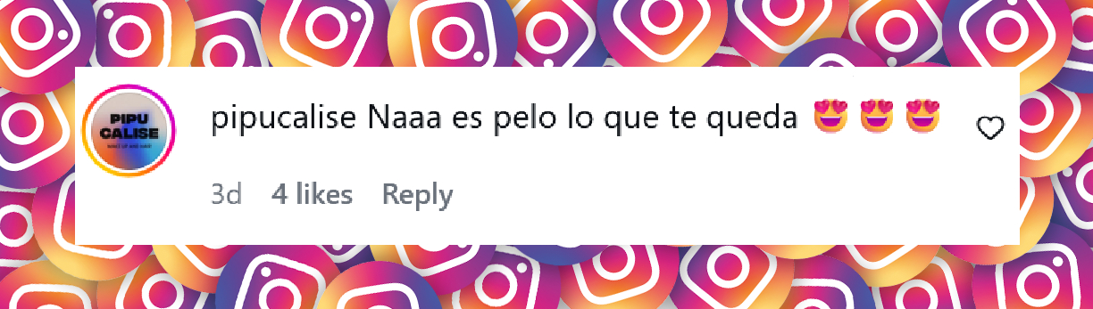 Comentario de una usuaria sobre el nuevo look de Guillermina Valdés | Fuente: Instagram/guillevaldes1