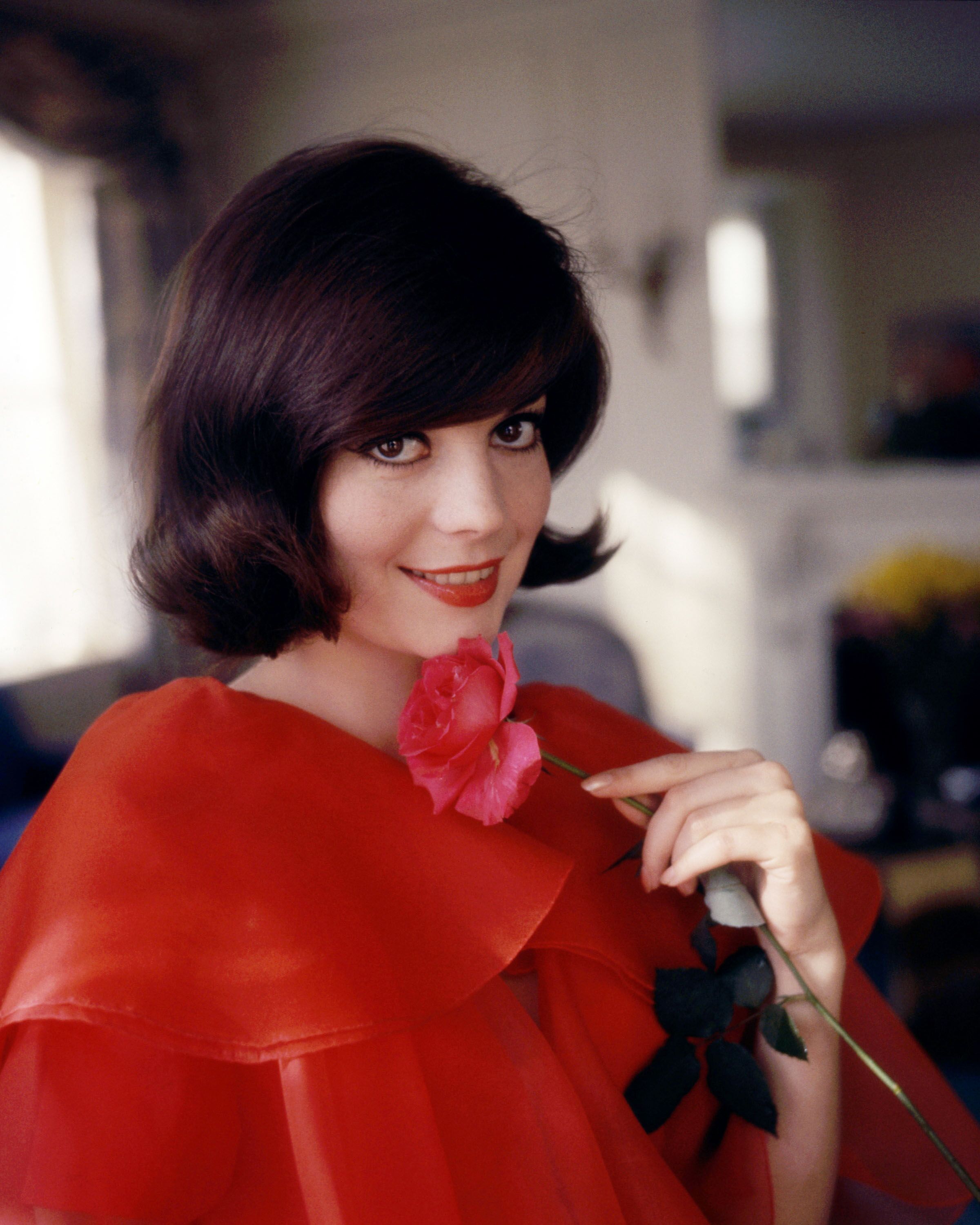 Natalie Wood (1938-1981), actriz estadounidense, foto estudio tomada en1965. | Foto: Getty Images