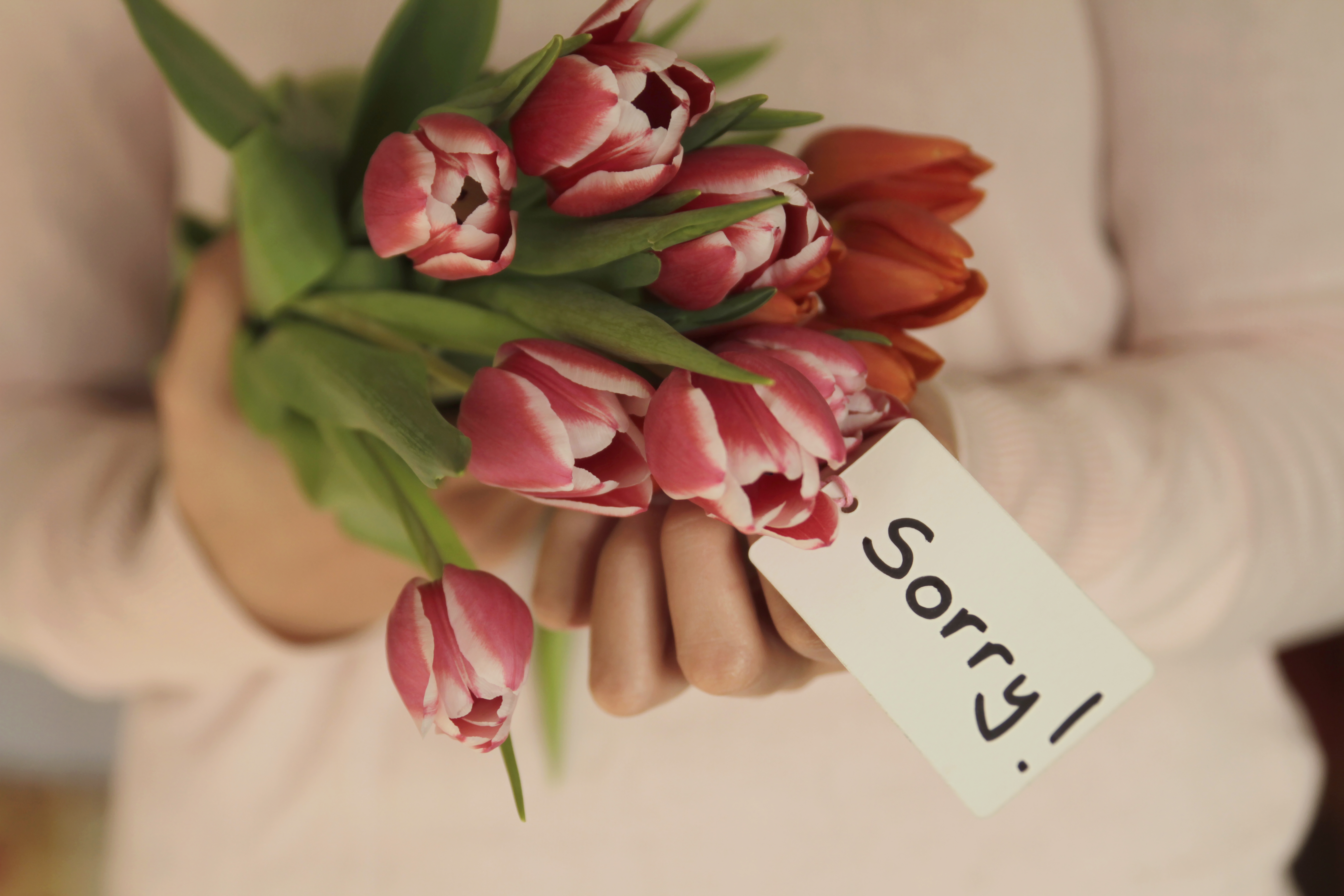 Flores con una nota pidiendo perdón | Foto: Getty Images