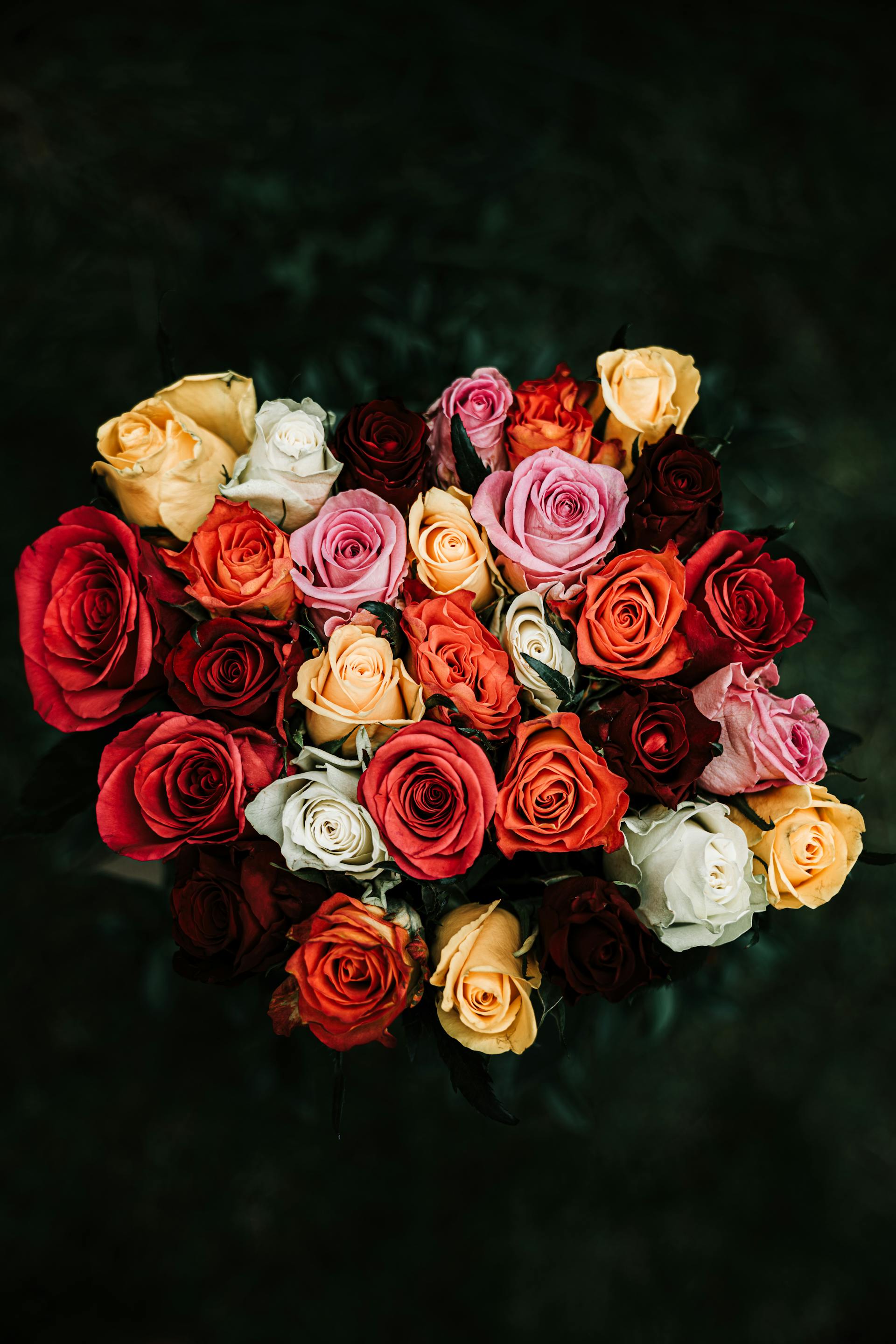 Un ramo de rosas | Fuente: Pexels