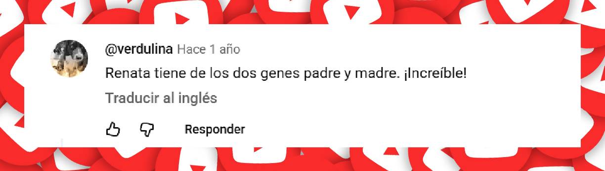 Comentario de una usuaria | Fuente: YouTube/Telefe