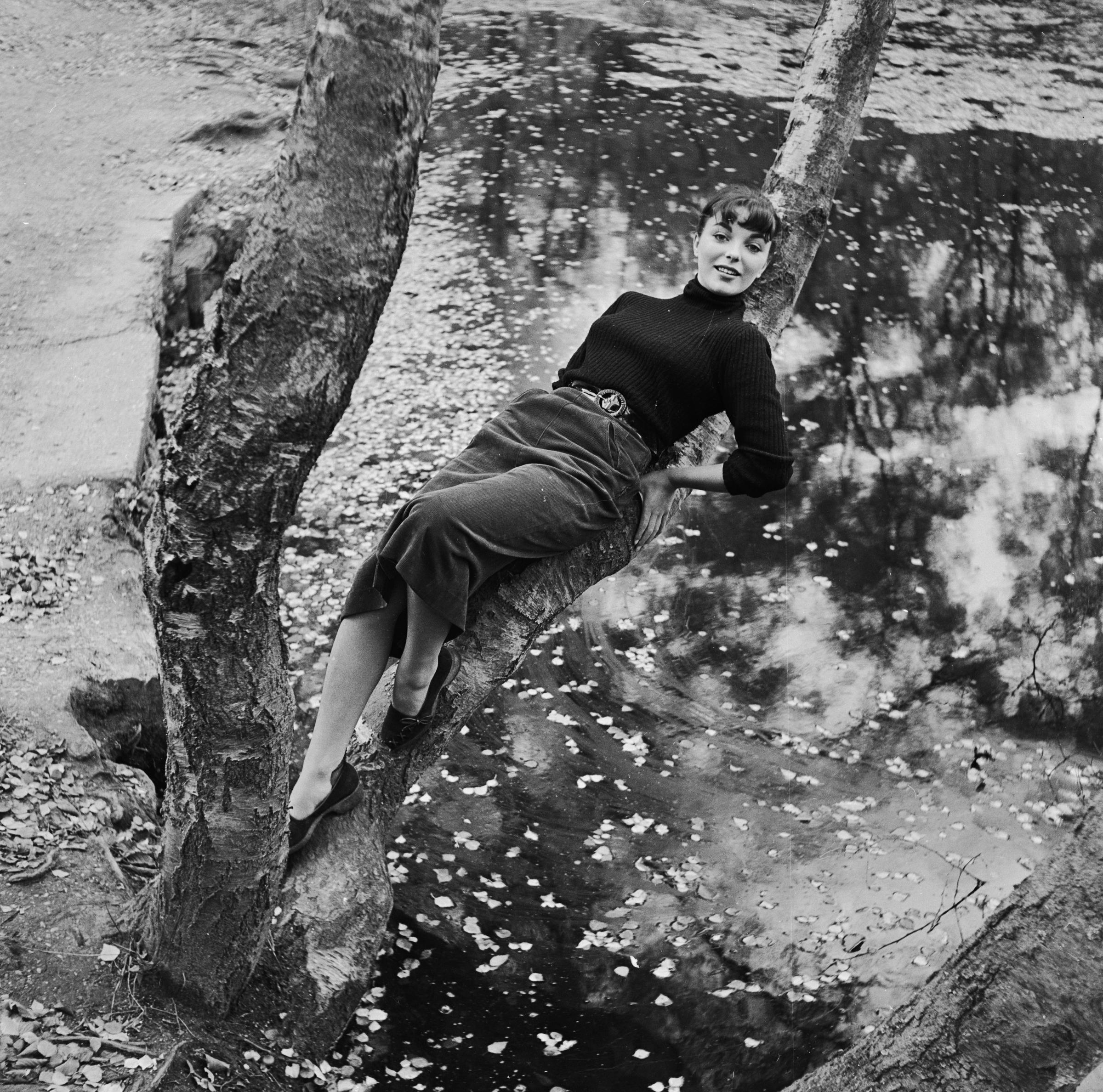Joan Collins descansa junto a la rama de un árbol en Burnham Beeches, Buckinghamshire, el 31 de octubre de 1951. | Fuente: Getty Images