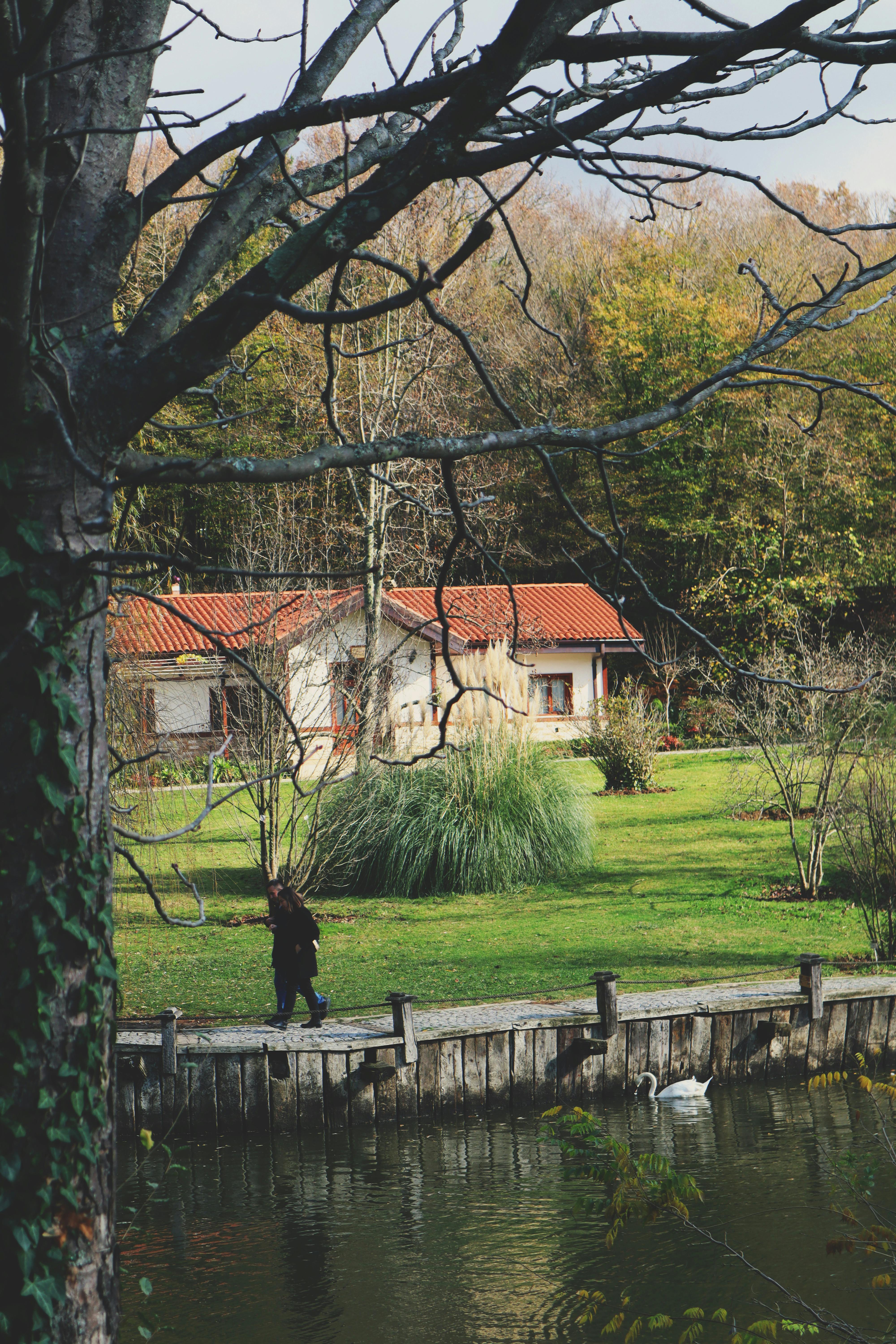 Cabaña junto al lago | Fuente: Pexels