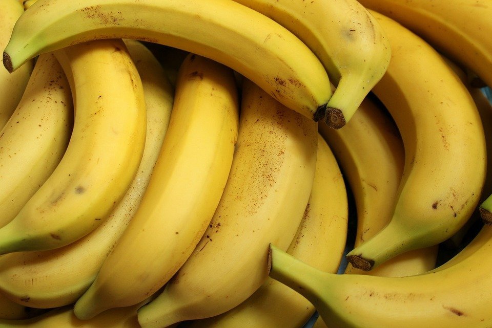 Plátanos / Imagen tomada de: Pixabay