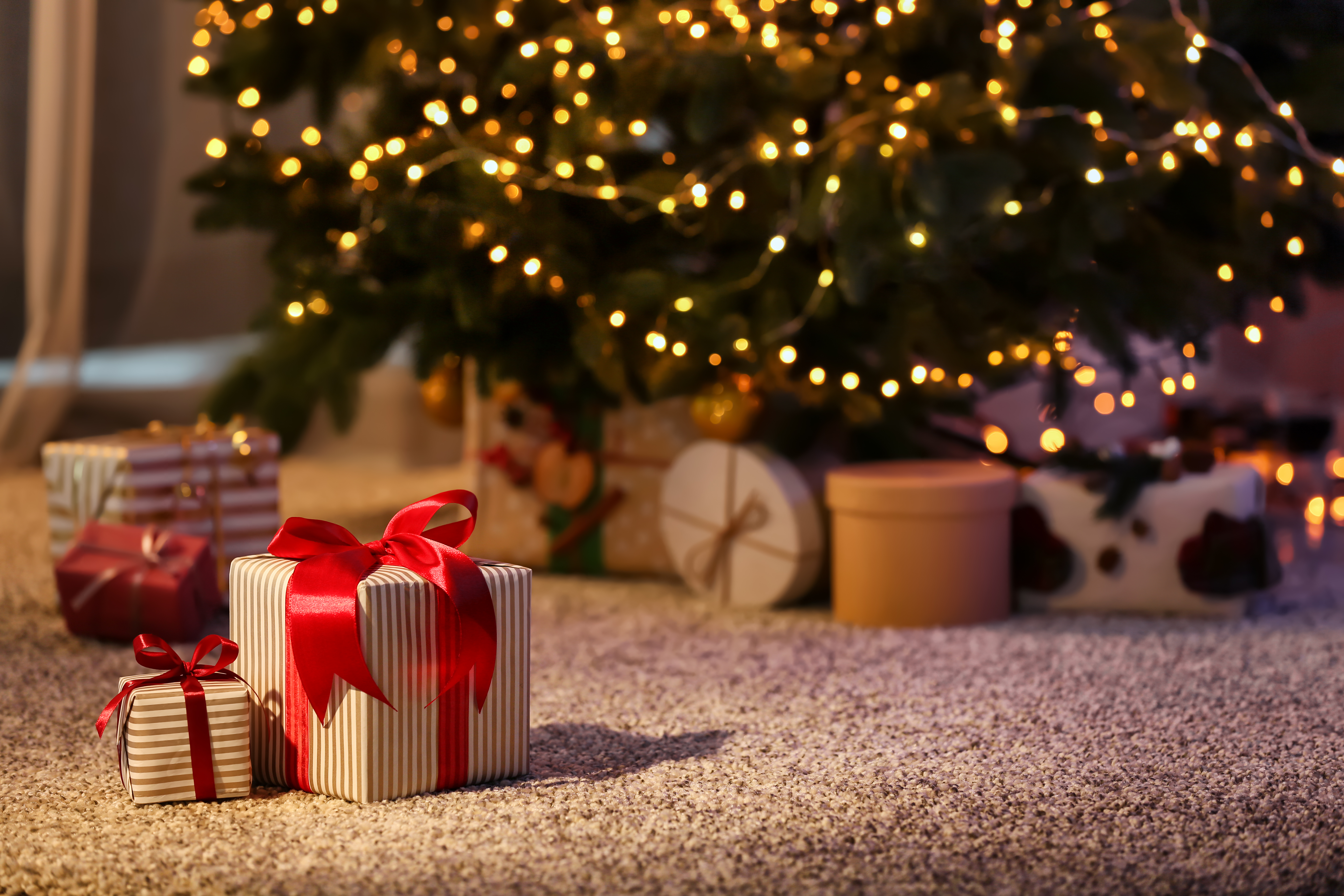 Bonita Navidad | Fuente: Shutterstock