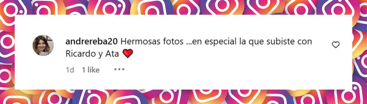 Comentario de una usuaria | Fuente: Instagram/nataliaoreirosoy