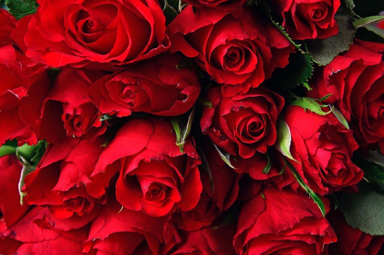 Un ramo de rosas rojas | Fuente: Pixabay