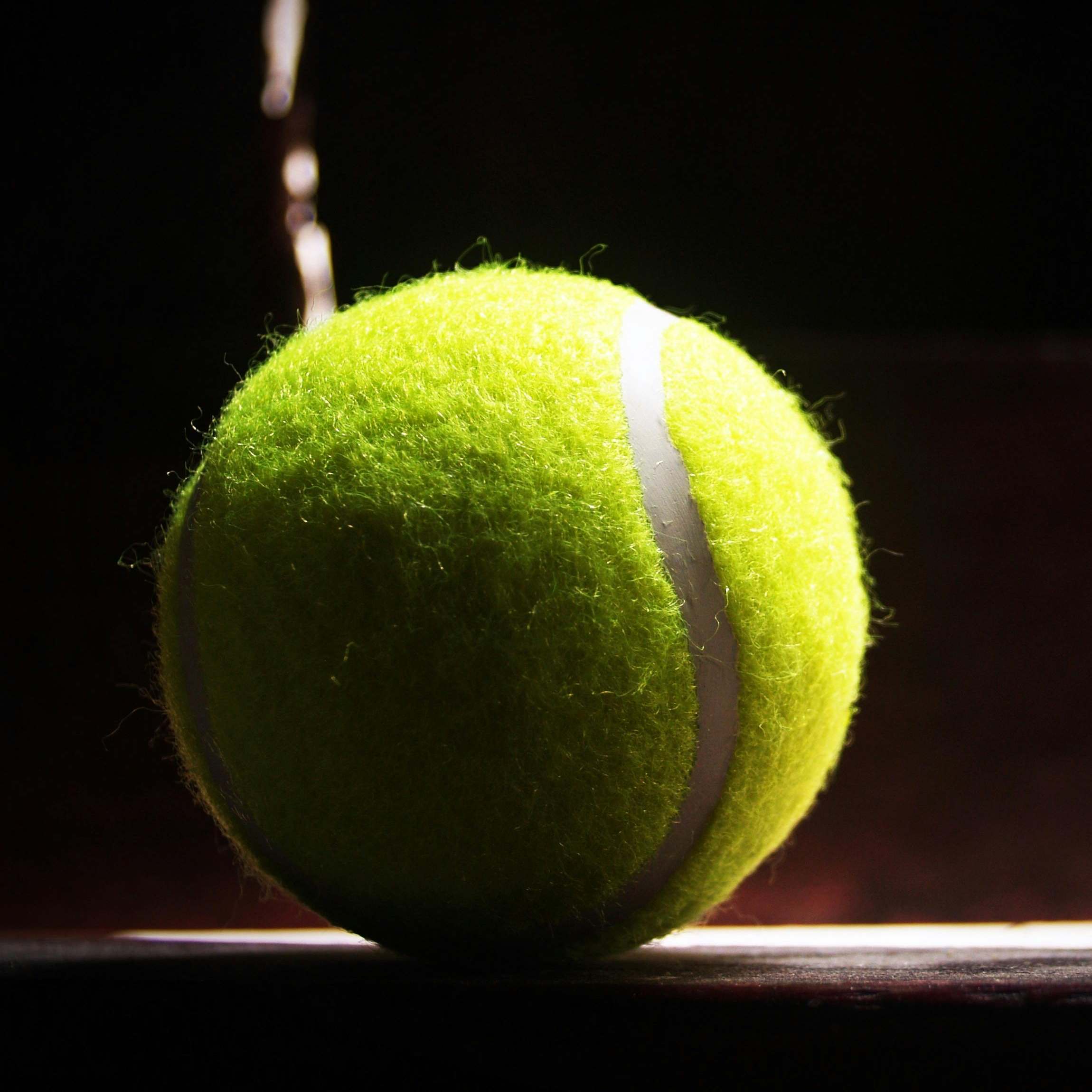 Una pelota de tenis elegantemente retroiluminada | Fuente: Pexels