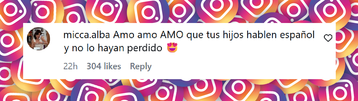 Comentario de una usuaria sobre el video de Luisana Lopilato cocinando junto a su hijo Noah | Fuente: Instagram/luisanalopilato