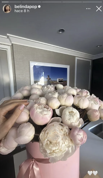 Belinda mostró las flores que recibió en su cumpleaños | Fuente: Instagram Stories/belindapop