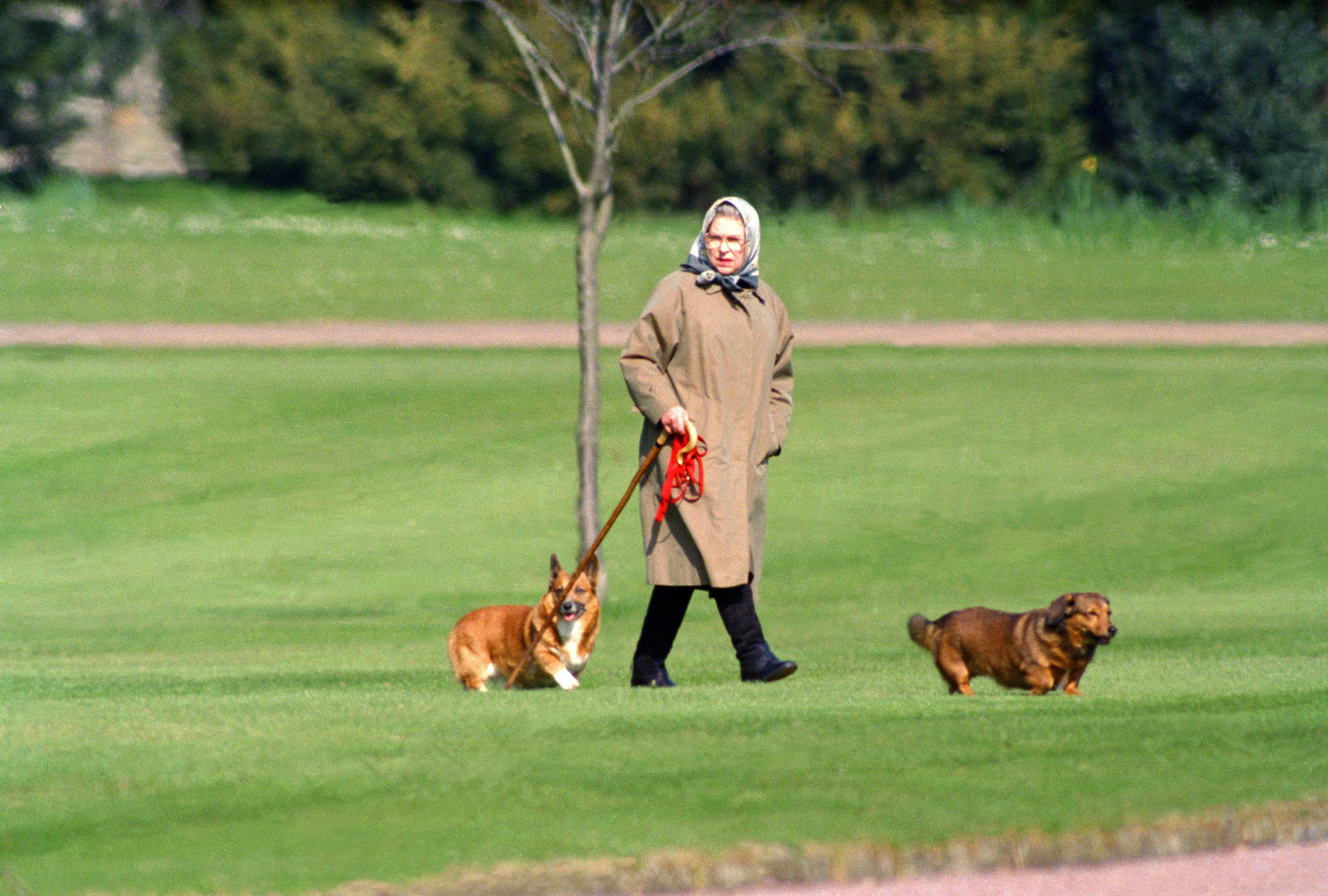 La Reina Elizabeth II en Windsor en 1994. | Foto: Getty Images 