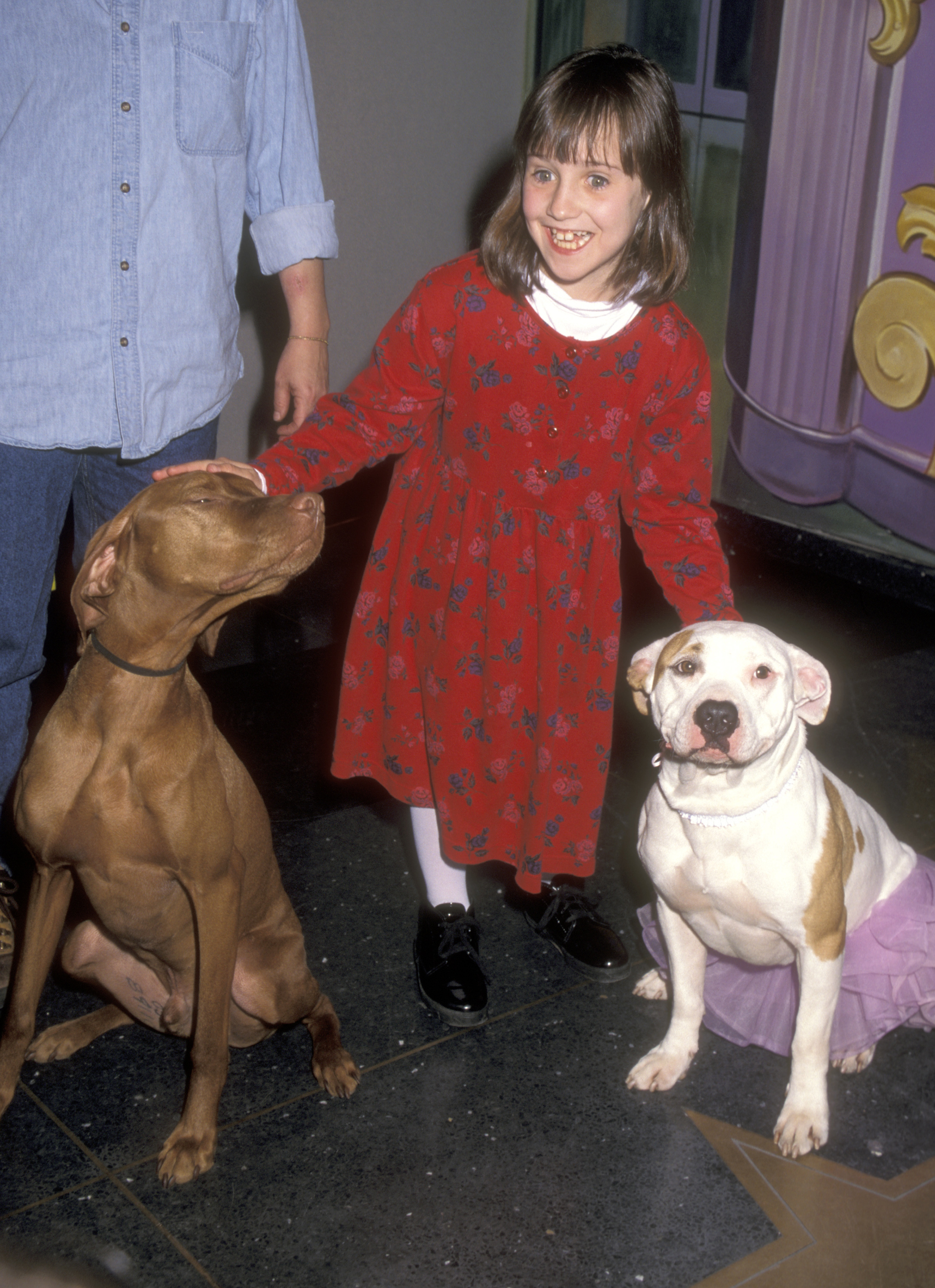 Mara Wilson en el M&M's Candies Hollywood for Children Family Film Festival el 8 de abril de 1996 | Foto: Getty Images