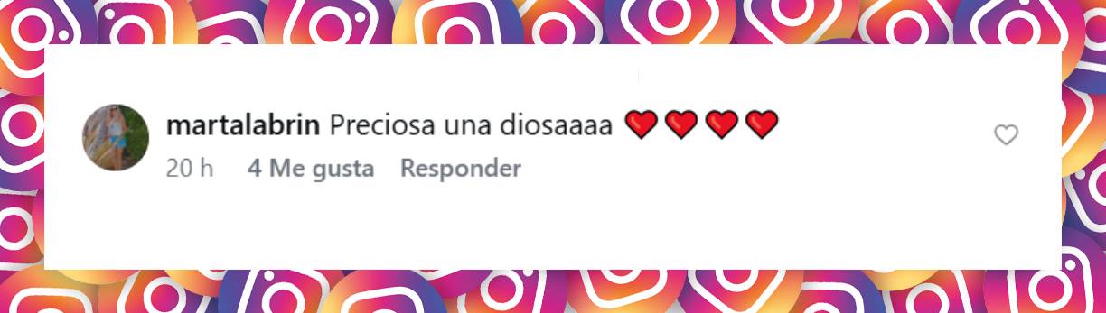 Comentario de una usuaria | Fuente: Instagram/nikitaneumannoficial