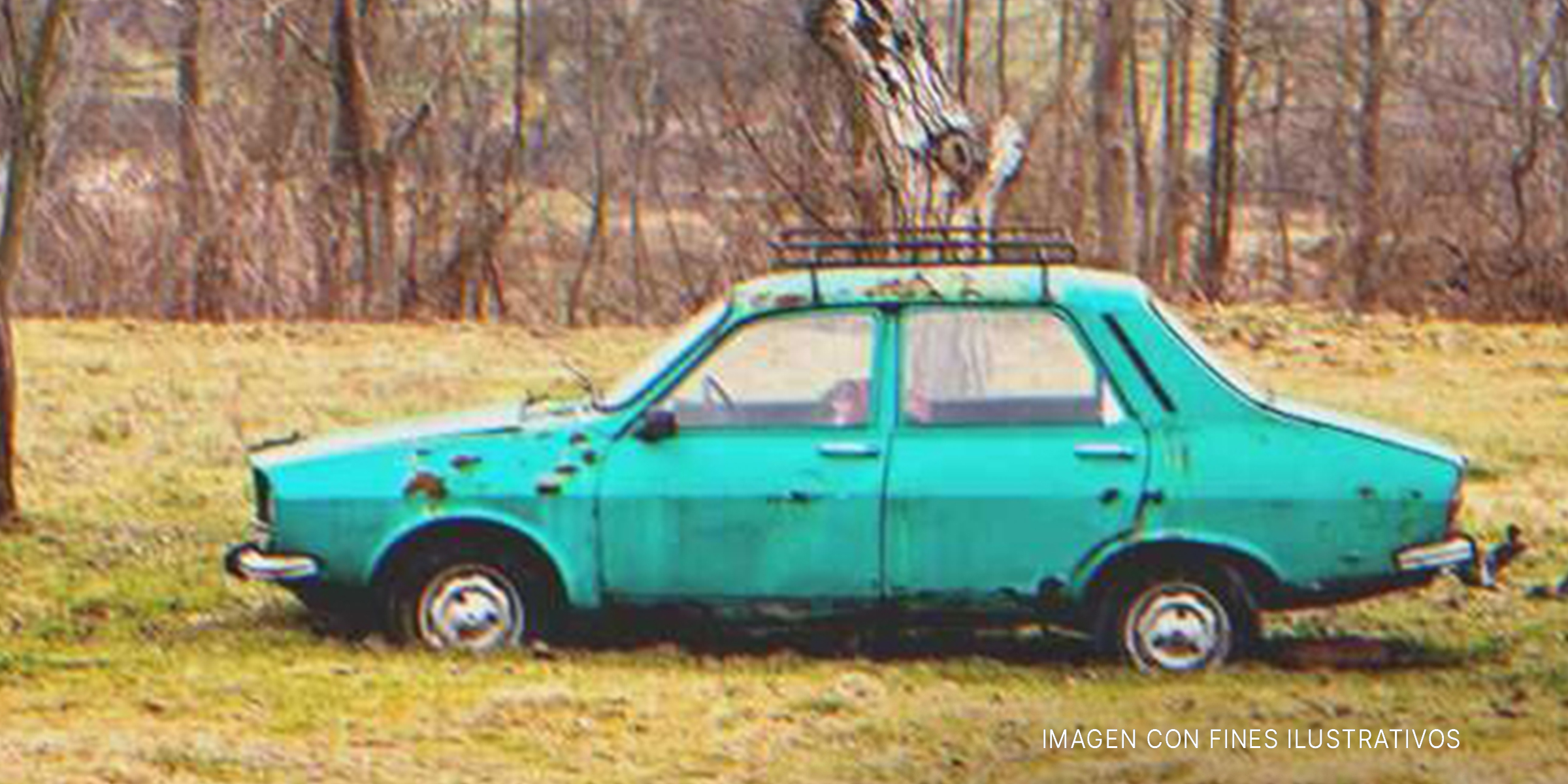 Auto abandonado en medio de un bosque. | Foto: Shutterstock