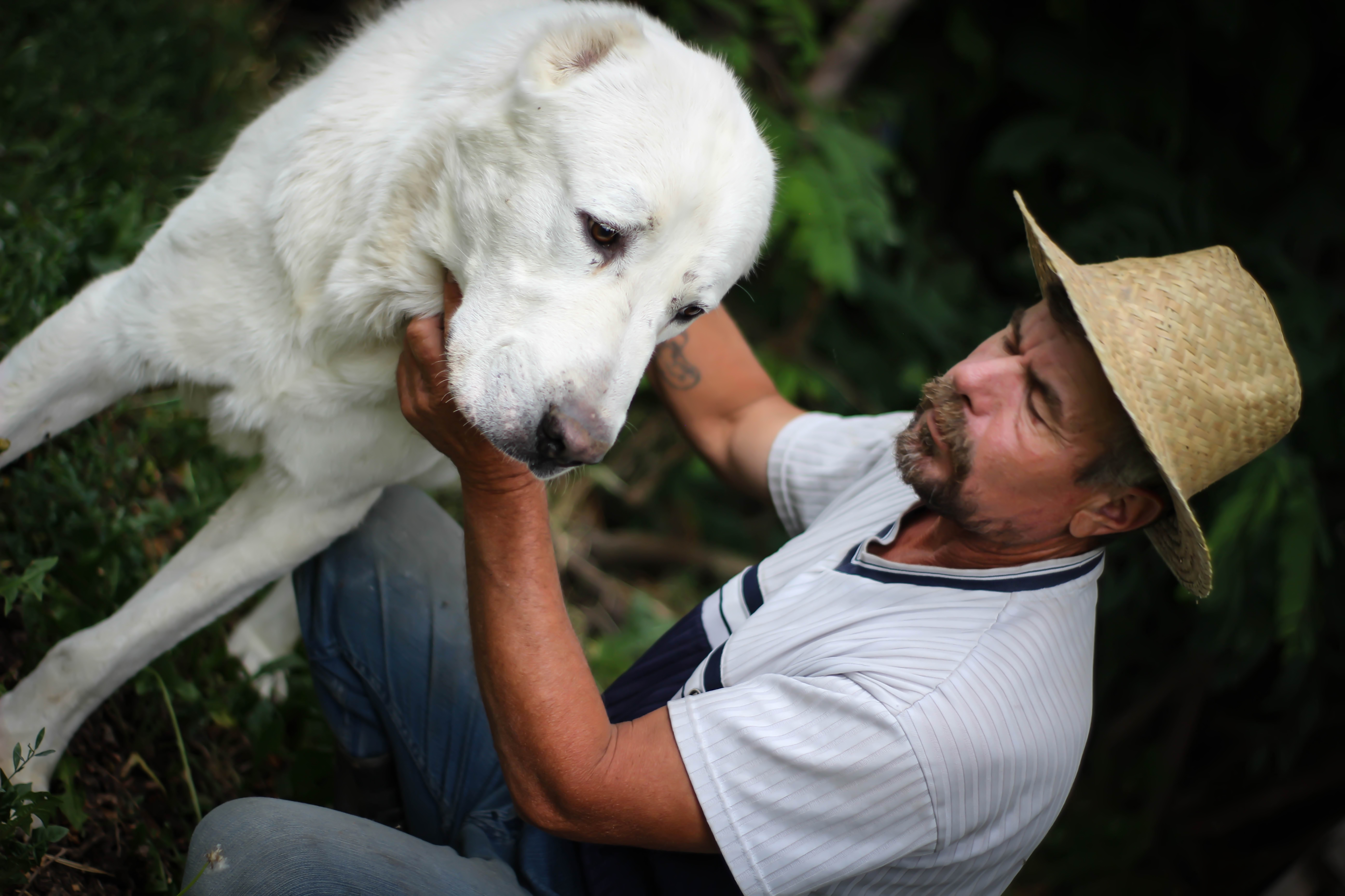 Un hombre con su perro | Foto: Getty Images
