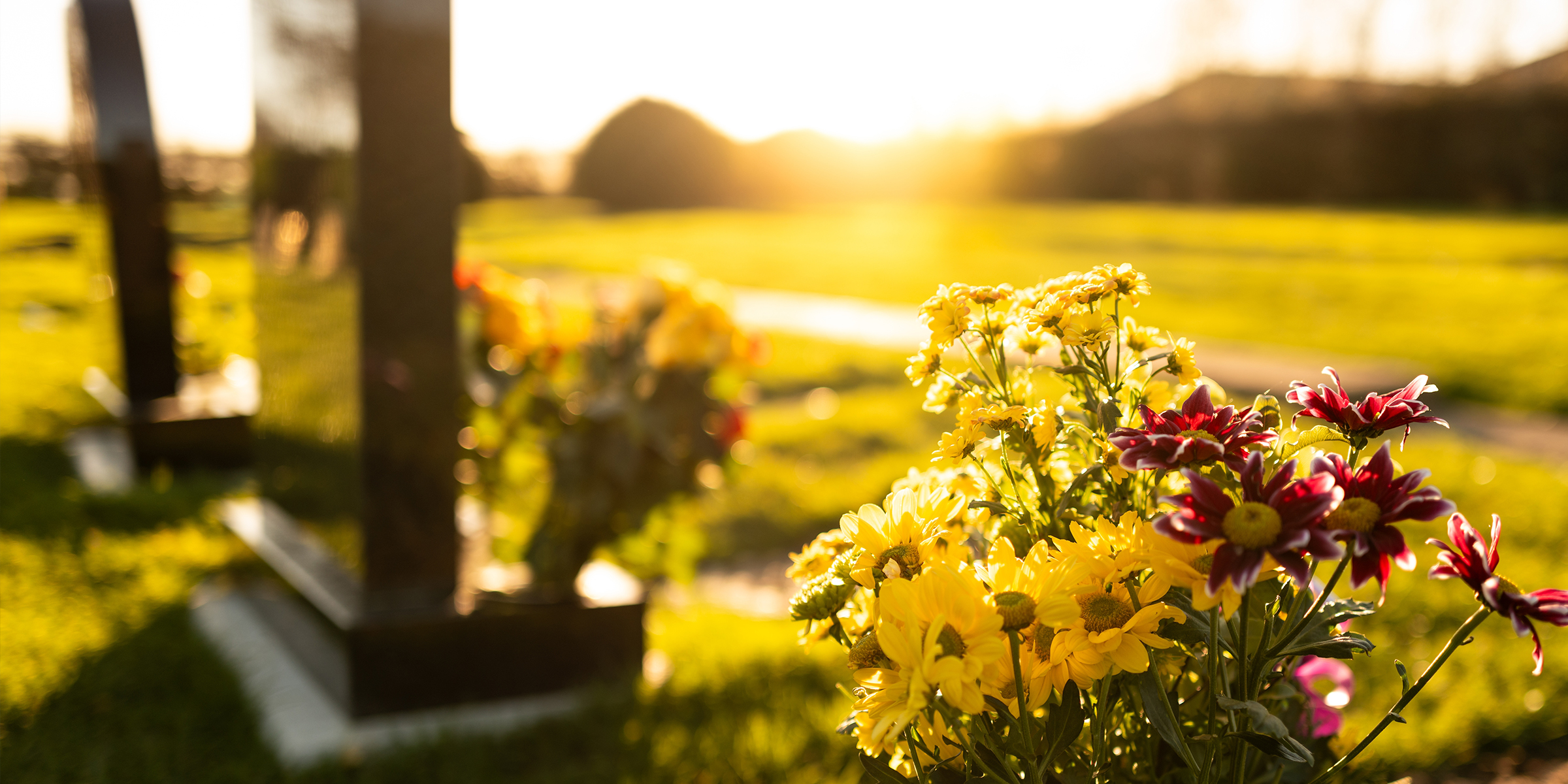 Un cementerio | Fuente: Shutterstock