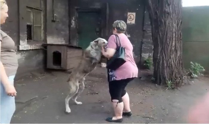 Mujer y su perro se reencuentran después de dos años. | Foto: Facebook/schastlivie.zhivotnie