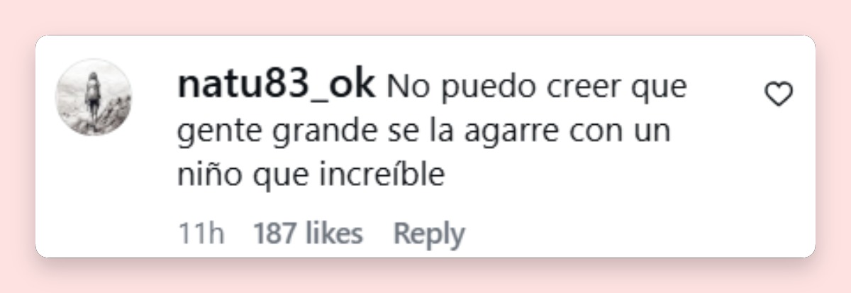 Comentario de una usuaria | Fuente: Instagram/visionshowtv