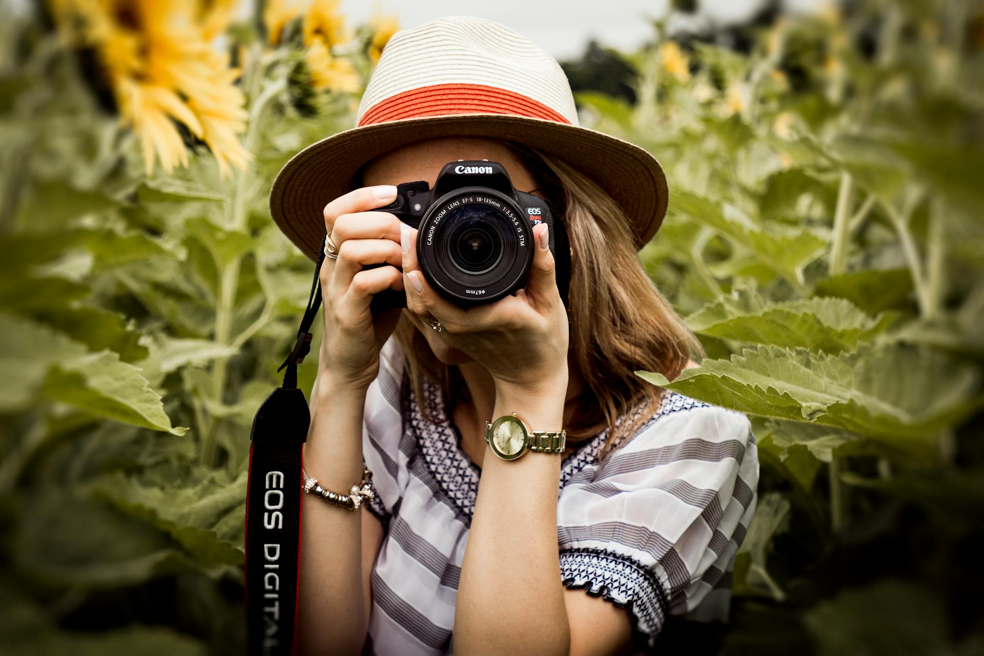 Un fotógrafo en un campo de girasoles | Fuente: Pexels