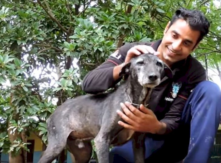 Imagen tomada de: Youtube/Animal Aids Unlimited India