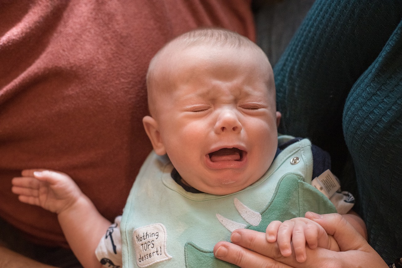 Un bebé llorando en brazos de su madre | Fuente: Pixabay