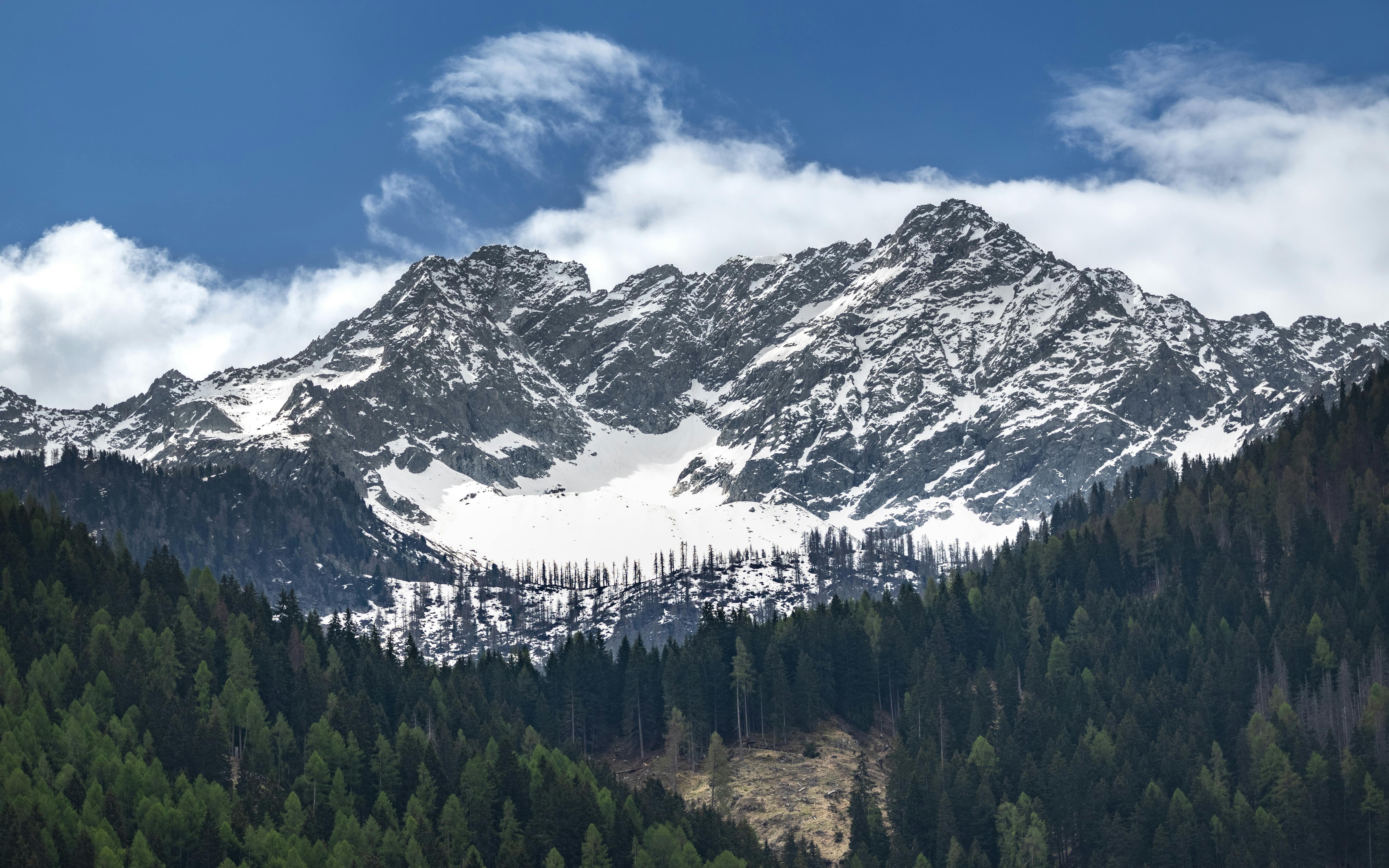 Temporada de invierno | Fuente: Pexels