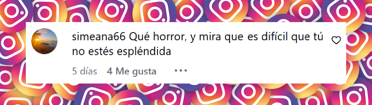 Comentario de una usuaria sobre el atuendo de Pilar Rubio para la Paris Fashion Week | Fuente: Instagram/pilarrubio