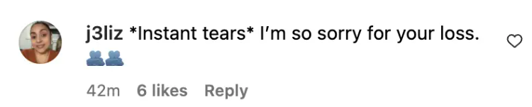 Comentario de un fan sobre el homenaje a Matt LeBlanc, fechado el 14 de noviembre de 2023 | Foto: Instagram/mleblanc