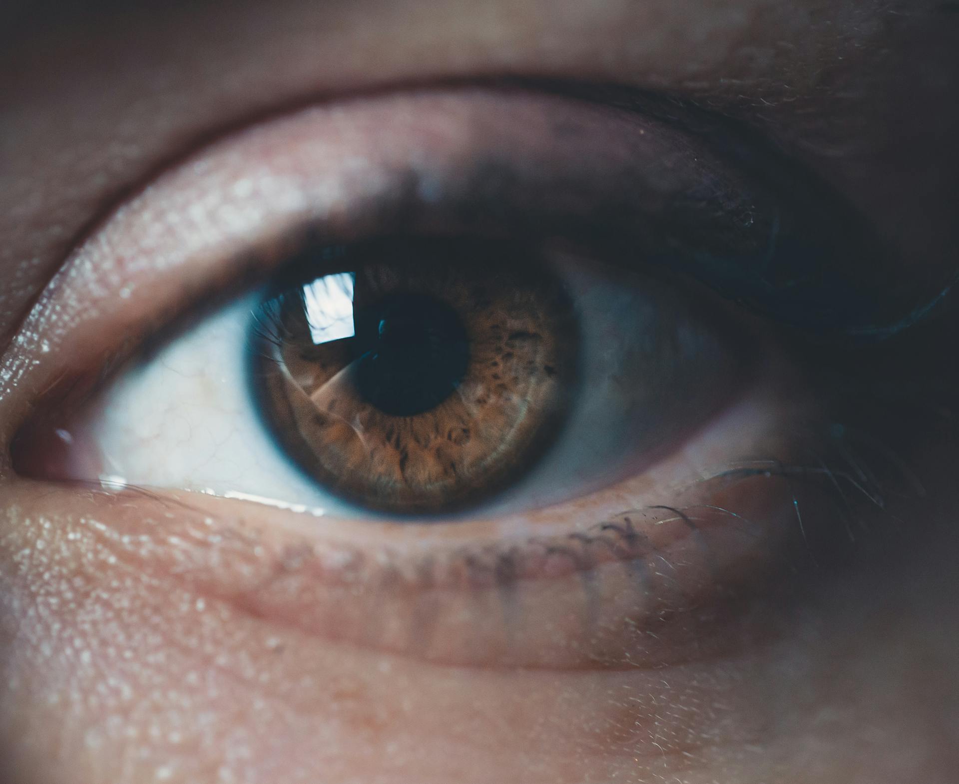 Primer plano del ojo de una mujer | Fuente: Pexels