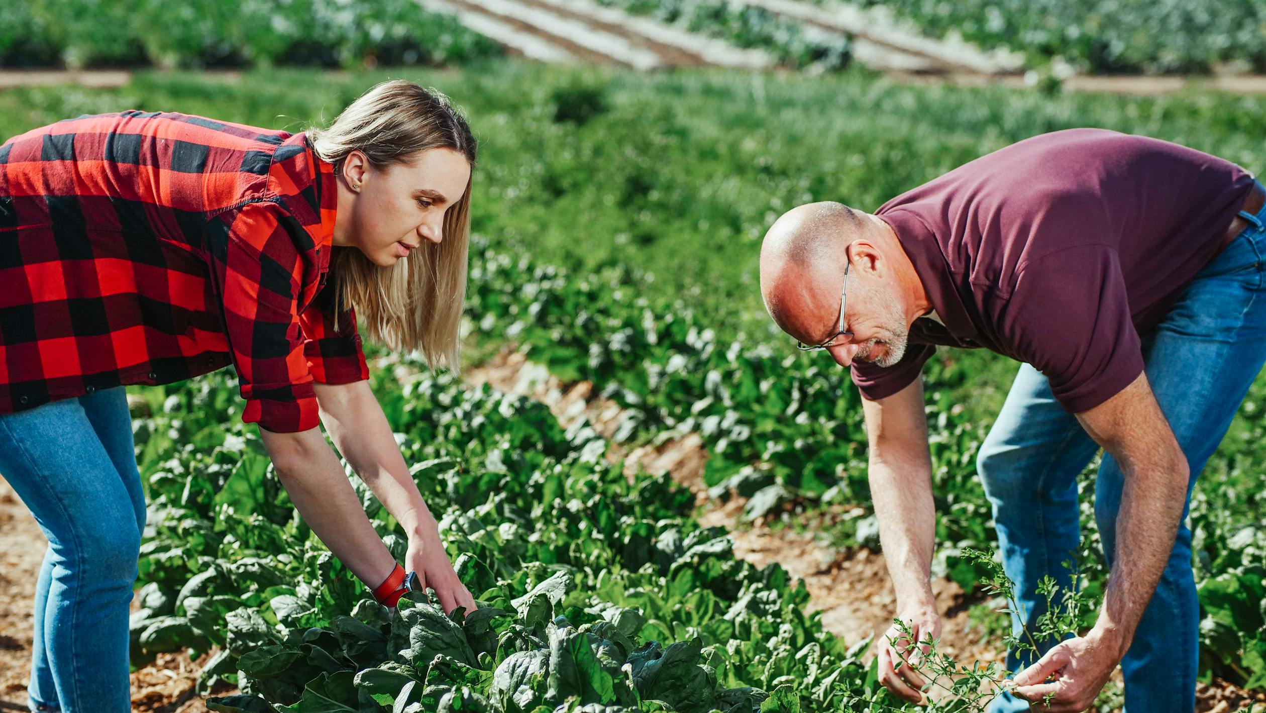 Un hombre y una mujer trabajando en una granja | Fuente: Pexels