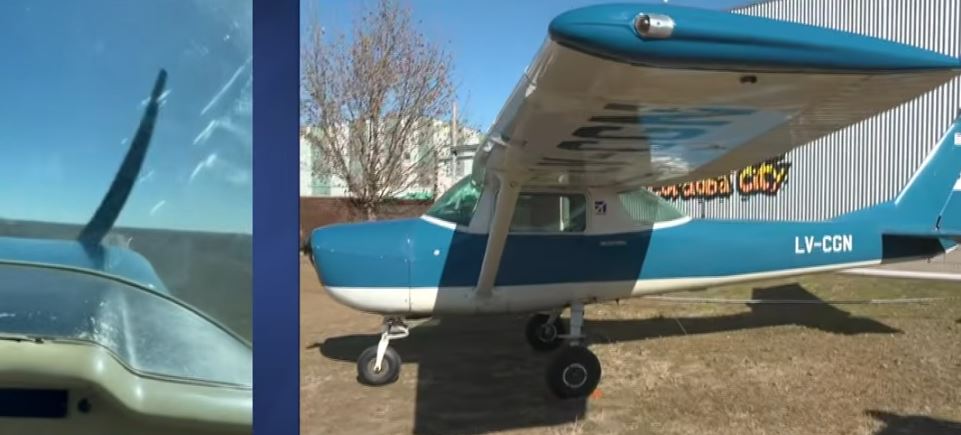 Avioneta de la escuela "Flying Parrot" | Fuente: YouTube/lanacion