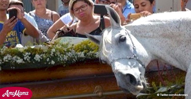 Después de la muerte del dueño, su caballo sorprendió a todos en el funeral al demostrar su luto