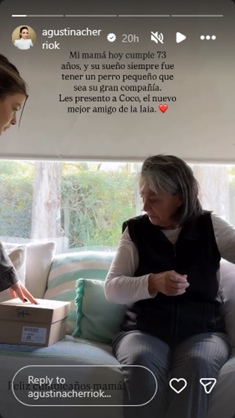 Agustina Cherri sorprendiendo a su madre, Silvia Bidueiros, con un regalo | Fuente: Instagram Stories/agustinacherriok