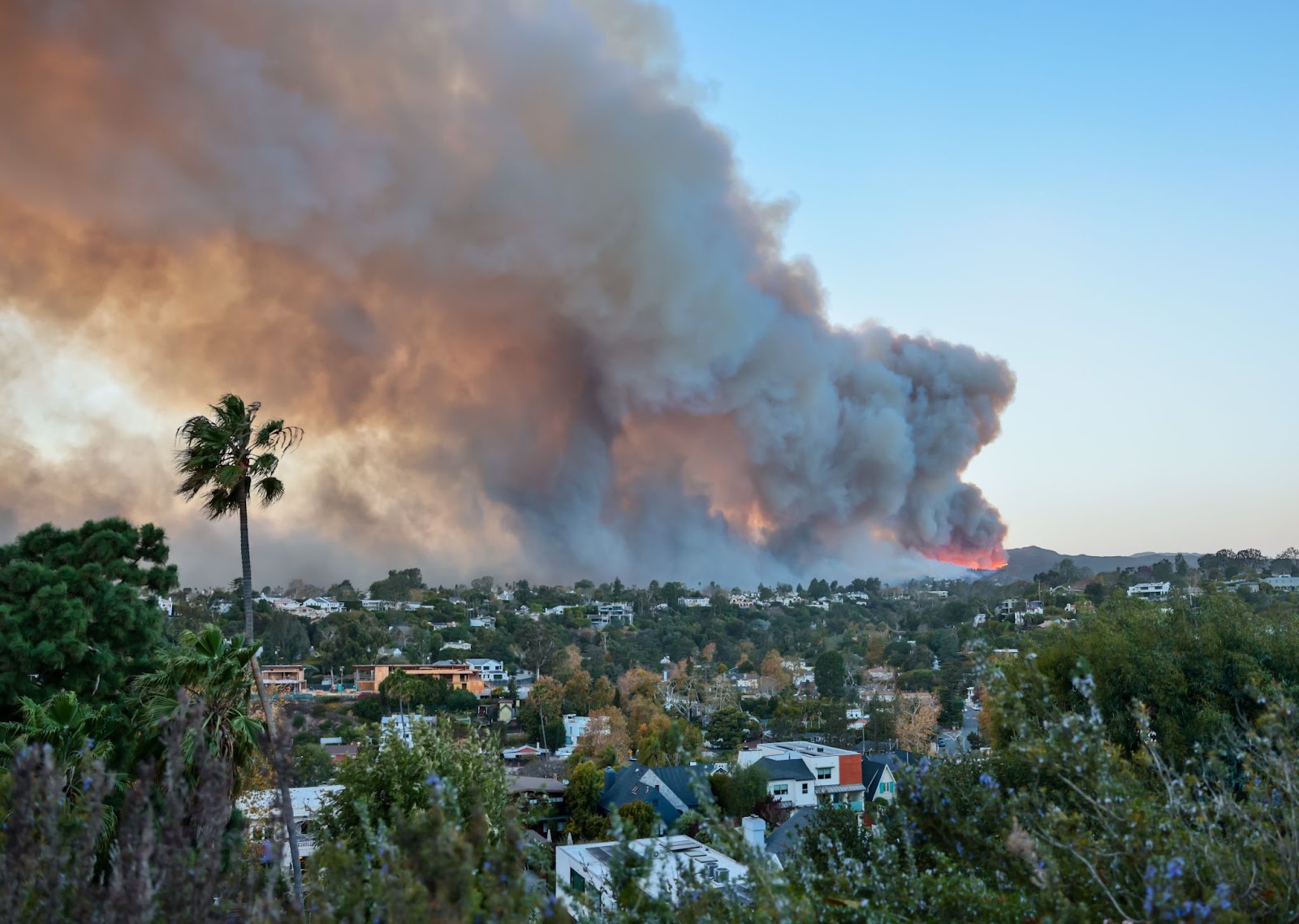 Humo llenando el cielo visto desde el Vecindario Pacific Palisades de Los Angeles, California, el 7 de enero de 2025. | Fuente: Getty Images