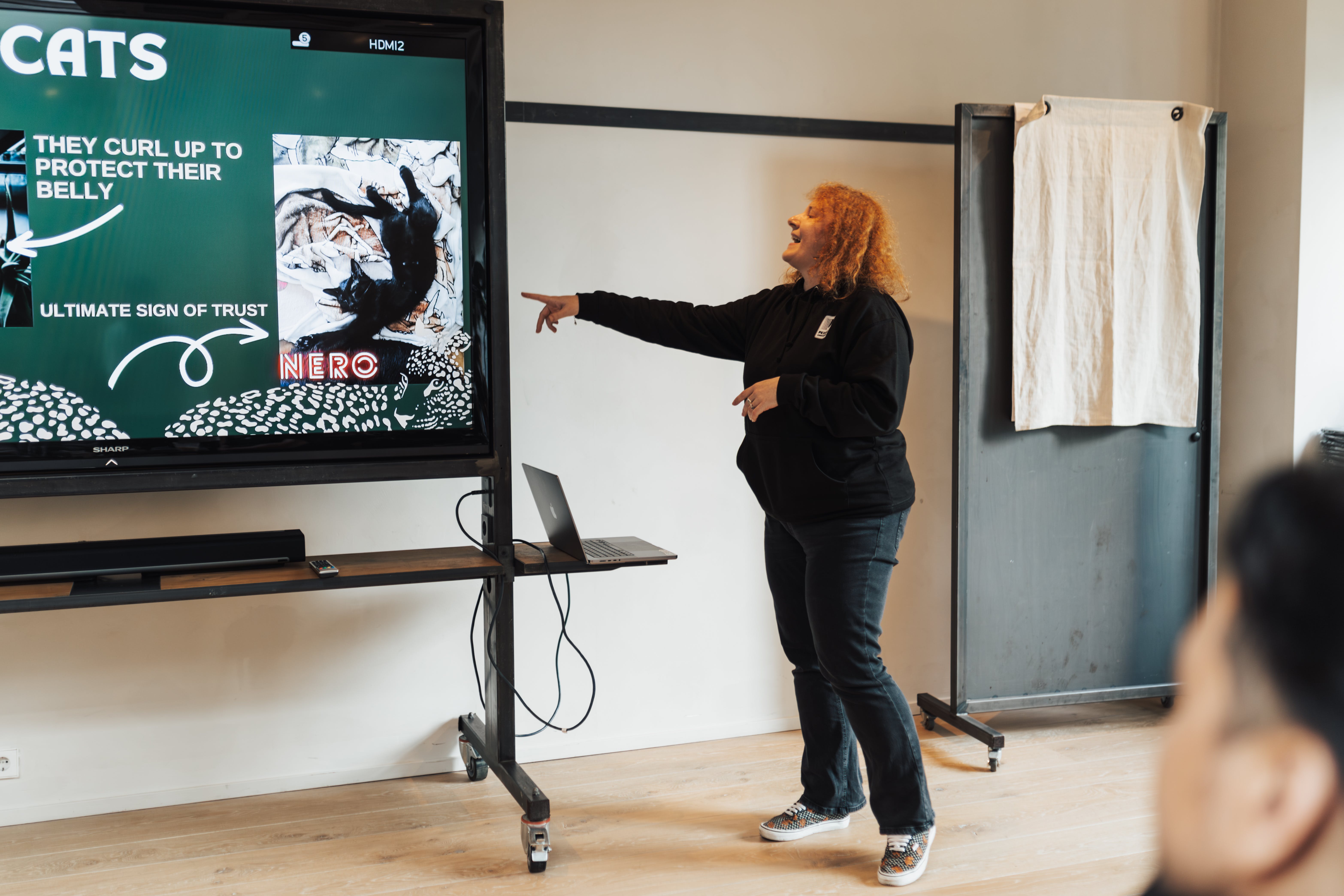 Una mujer haciendo una presentación. | Fuente: Pexels