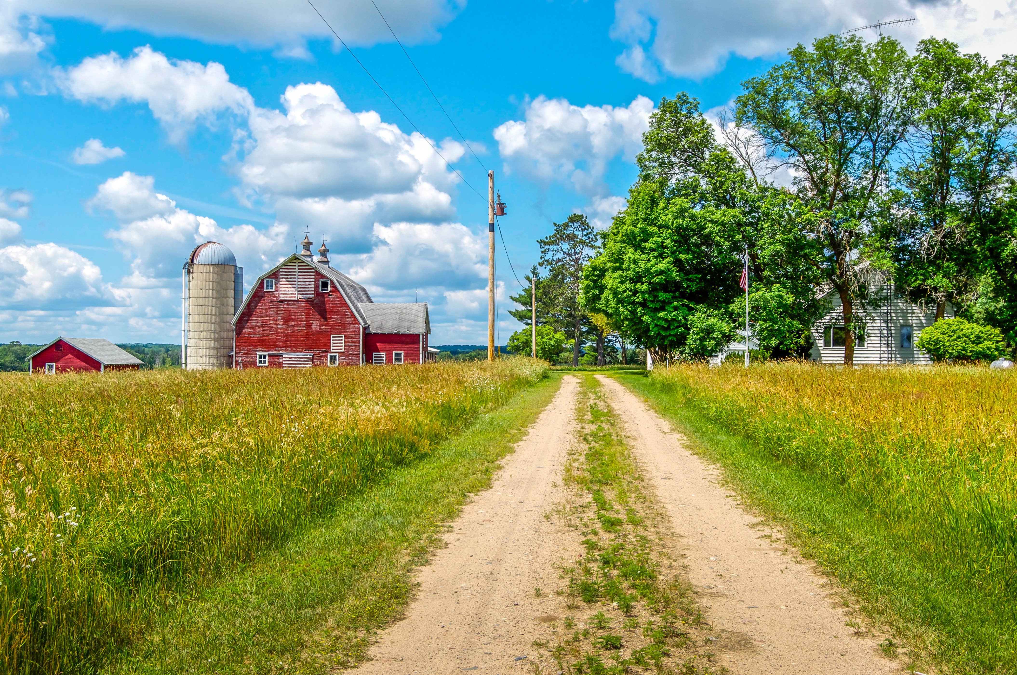 Pequeña granja. | Foto: Shutterstock