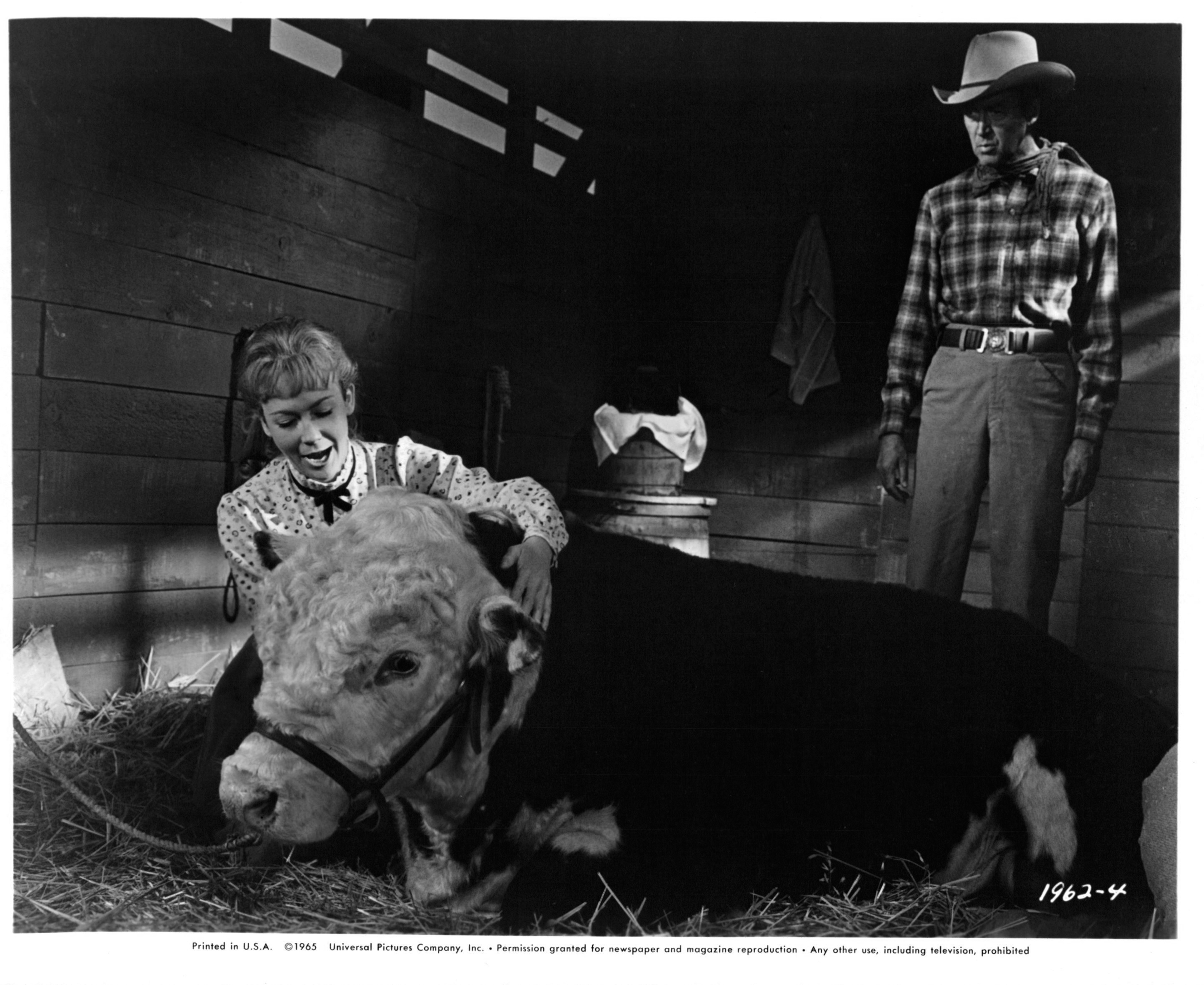 Juliet Mills y James Stewart en el plató de "The Rare Breed", 1966 | Fuente: Getty Images