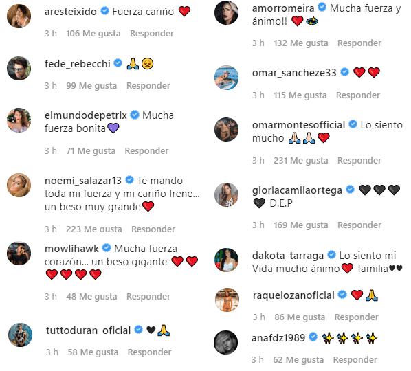 Comentarios recibidos por Irene tras la muerte de su madre. | Foto: Captura de pantalla de Instagram/Irenerova24