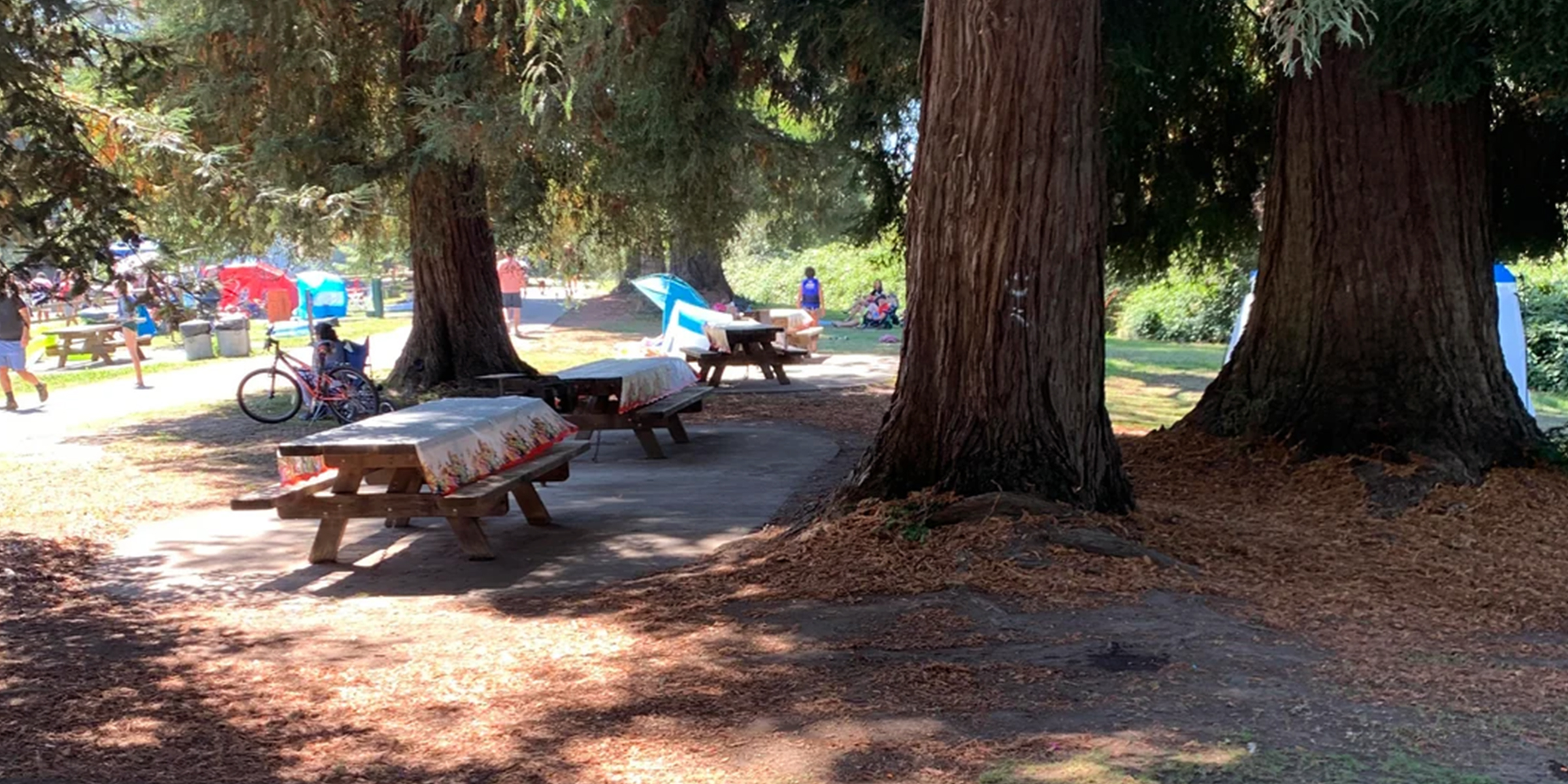 Mesas en un parque | Foto: Reddit.com/AV16mm
