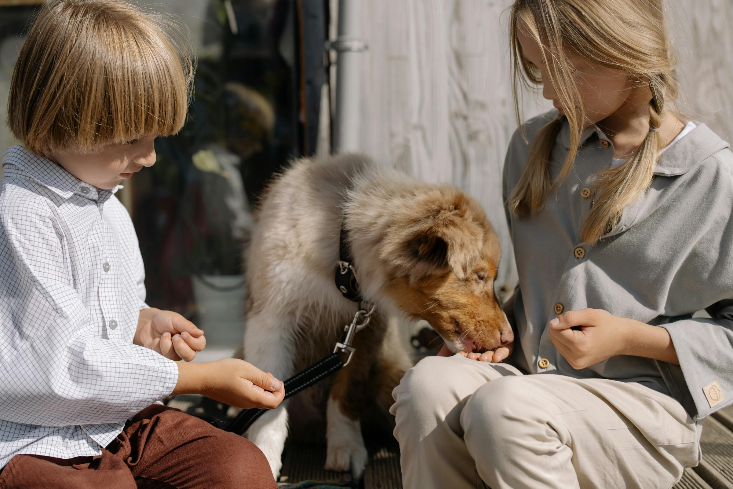 Niños jugando con un perro | Fuente: Pexels