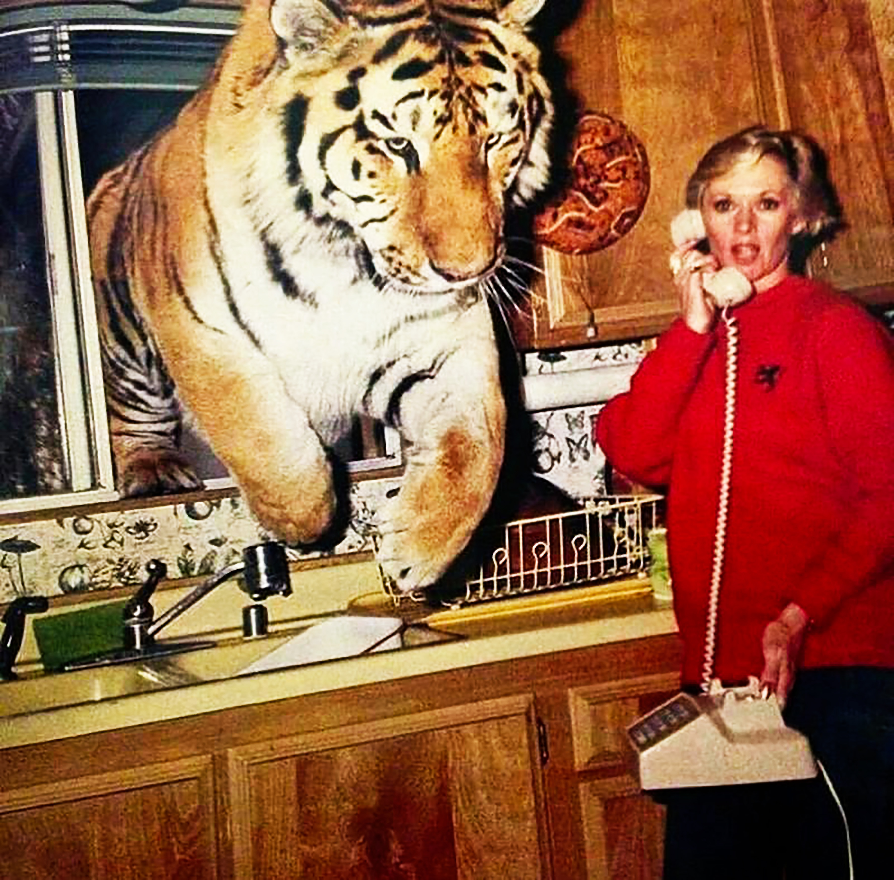 Tippi Hedren y una tigresa llamada Zoe en la cocina de su casa de Acton, California, en 1994. | Fuente: Getty Images