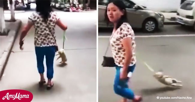 Transeúnte graba a mujer que tira de su perro con violencia y lo levanta en el aire (Video)